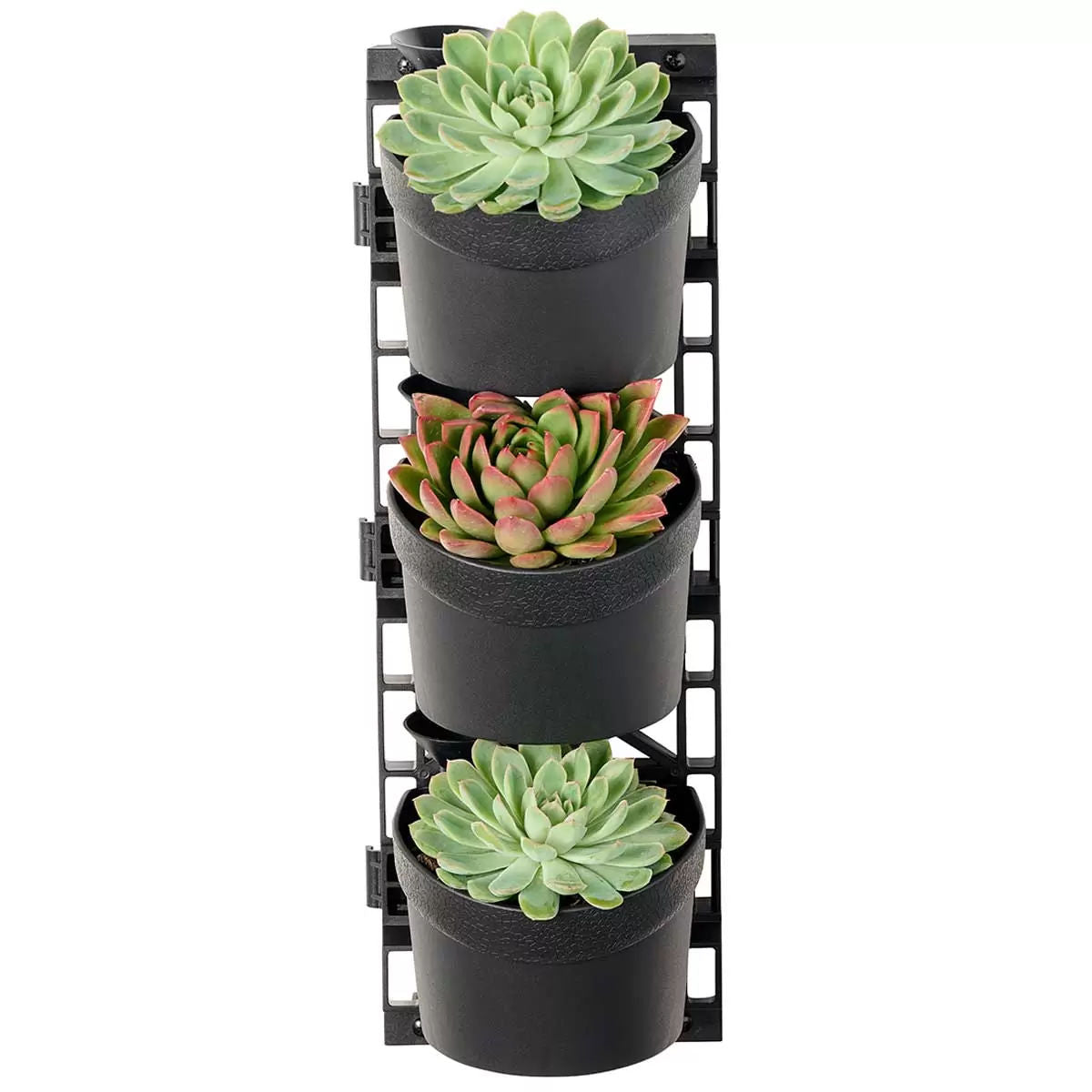 Tri vertical garden with 4 frames and 12 pots 3
