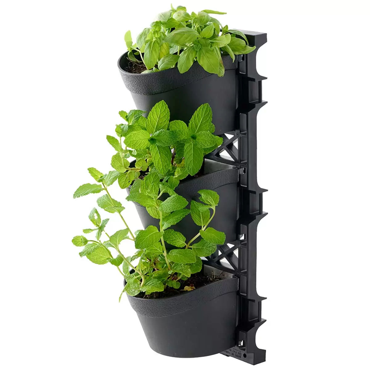 Tri vertical garden with 4 frames and 12 pots 5