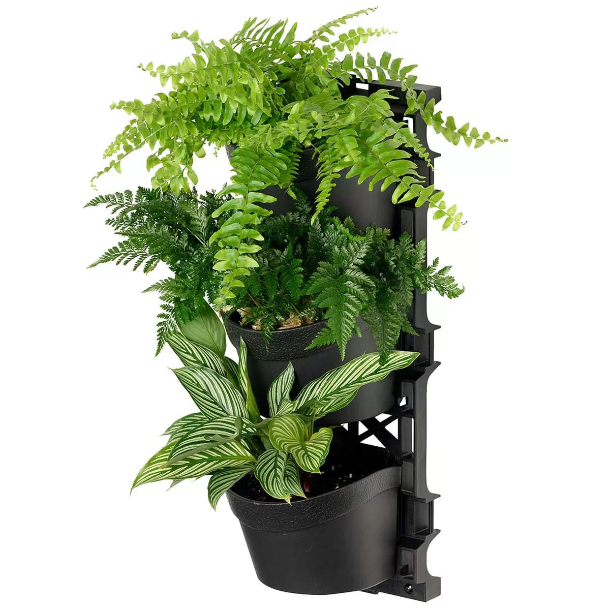 Tri vertical garden with 4 frames and 12 pots 6