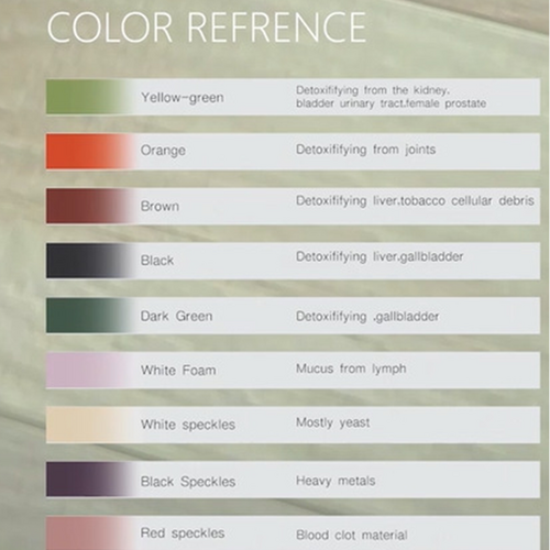 Ion Ionic Detox Foot Bath Spa Machine Tub Array Cell Cleanse for Health Tool Set 9