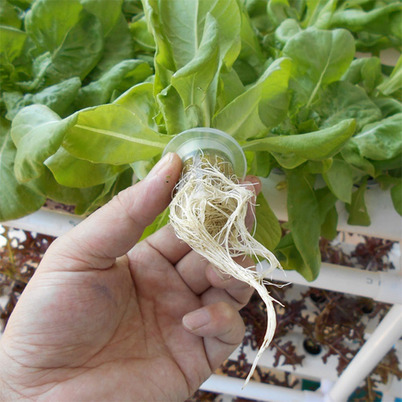 108 Plant Sites Hydroponic Grow Tool Kit Vegetable Garden Hydroponic Grow System 8