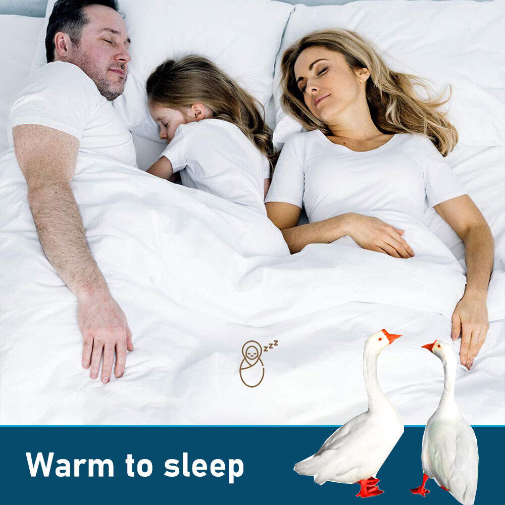 Goose Feather Down Quilt 500 GSM Duvet Doonas Queen:210x210cm 3