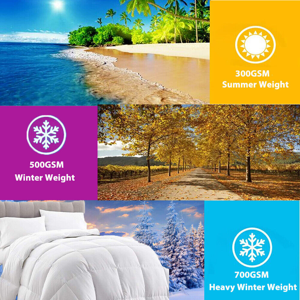 Goose Feather Down Quilt 700 GSM Duvet DoonasQueen:210x210cm 3