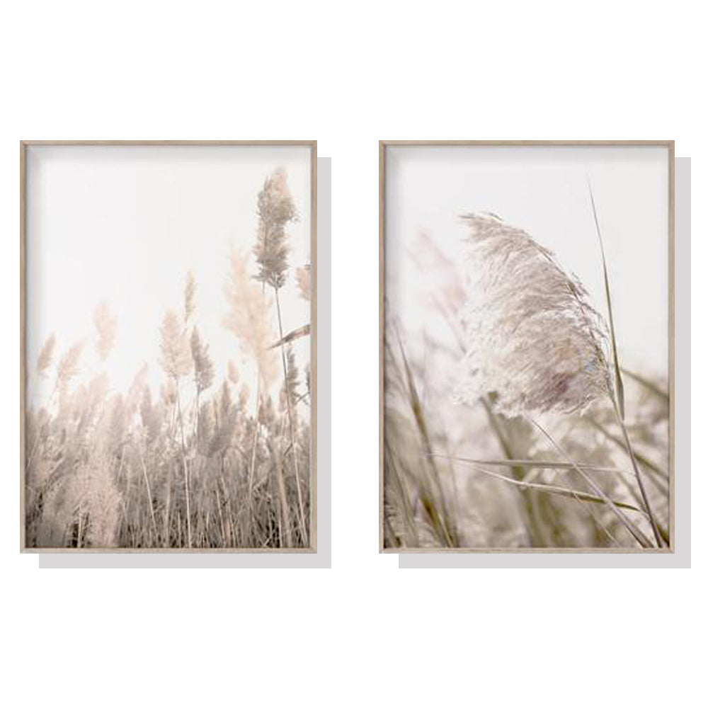 Wall Art 50cmx70cm Pampas Grass 2 Sets Wood Frame Canvas 3
