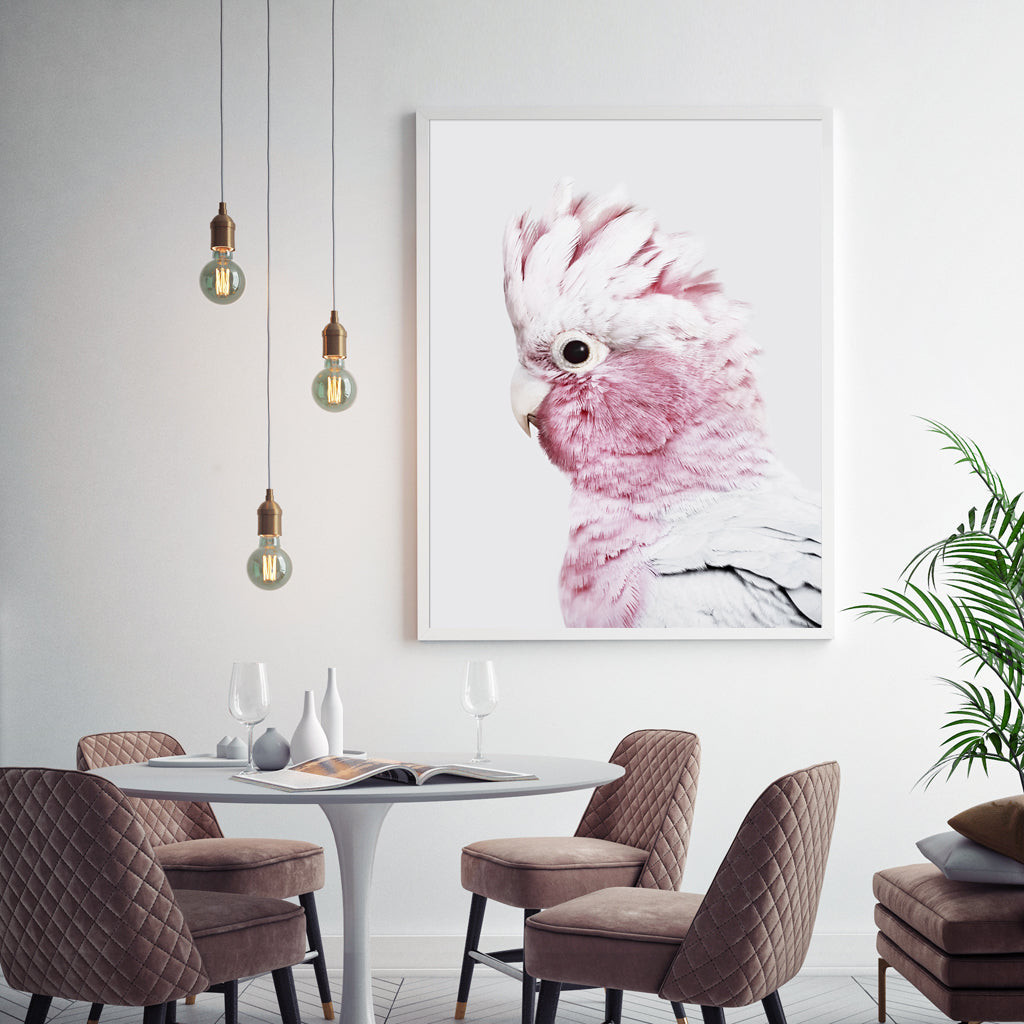 Wall Art 40cmx60cm Pink Galah White Frame Canvas 3