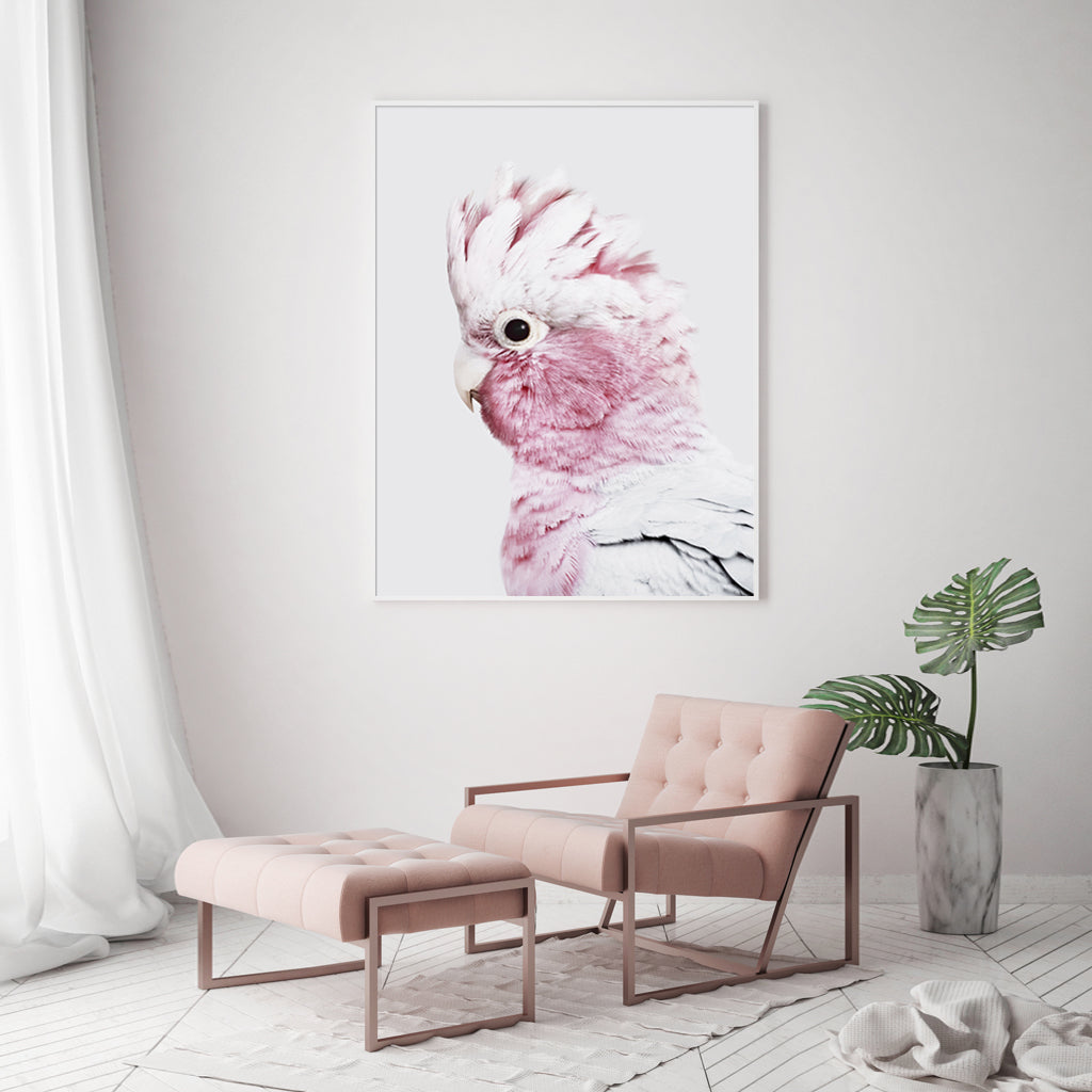 Wall Art 60cmx90cm Pink Galah White Frame Canvas 4