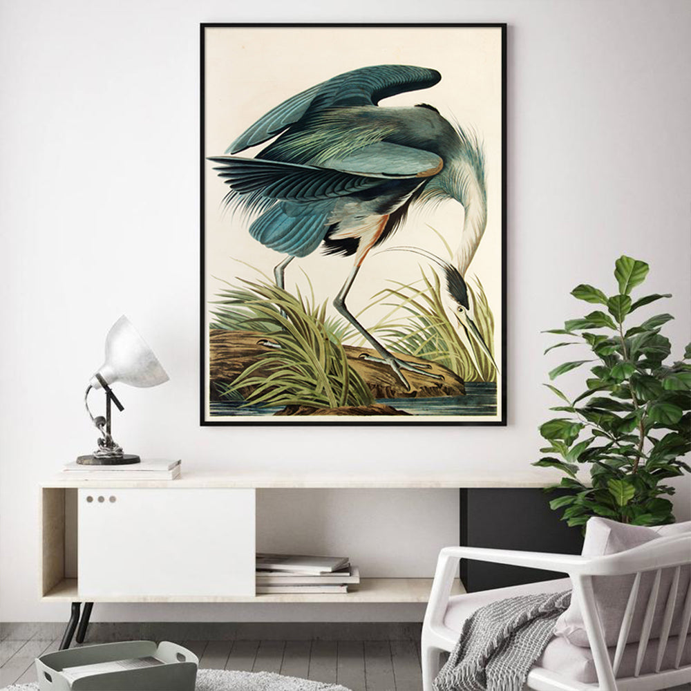 Wall Art 90cmx135cm Great Blue Heron By John James Audubon Black Frame Canvas 3