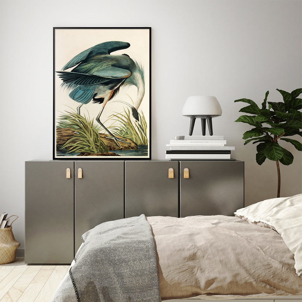 Wall Art 50cmx70cm Great Blue Heron By John James Audubon Black Frame Canvas 4