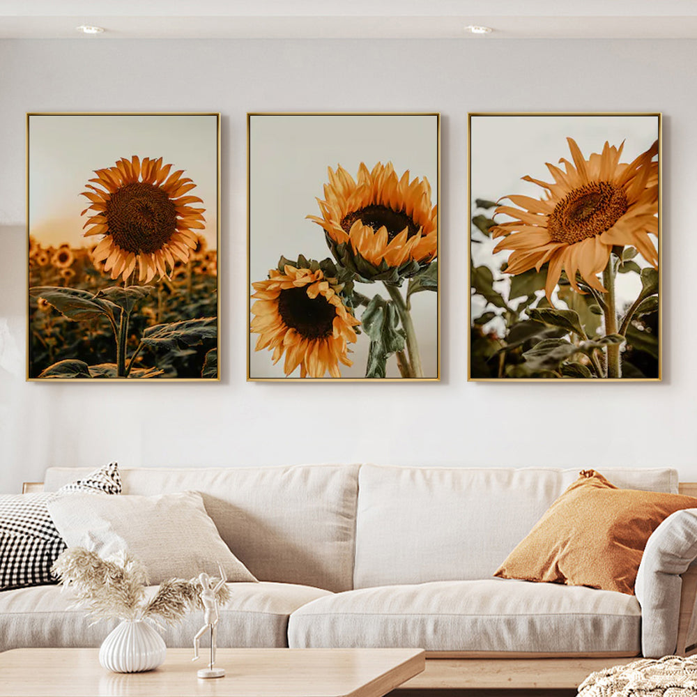 Wall Art 50cmx70cm Sunflower 3 Sets Gold Frame Canvas 3