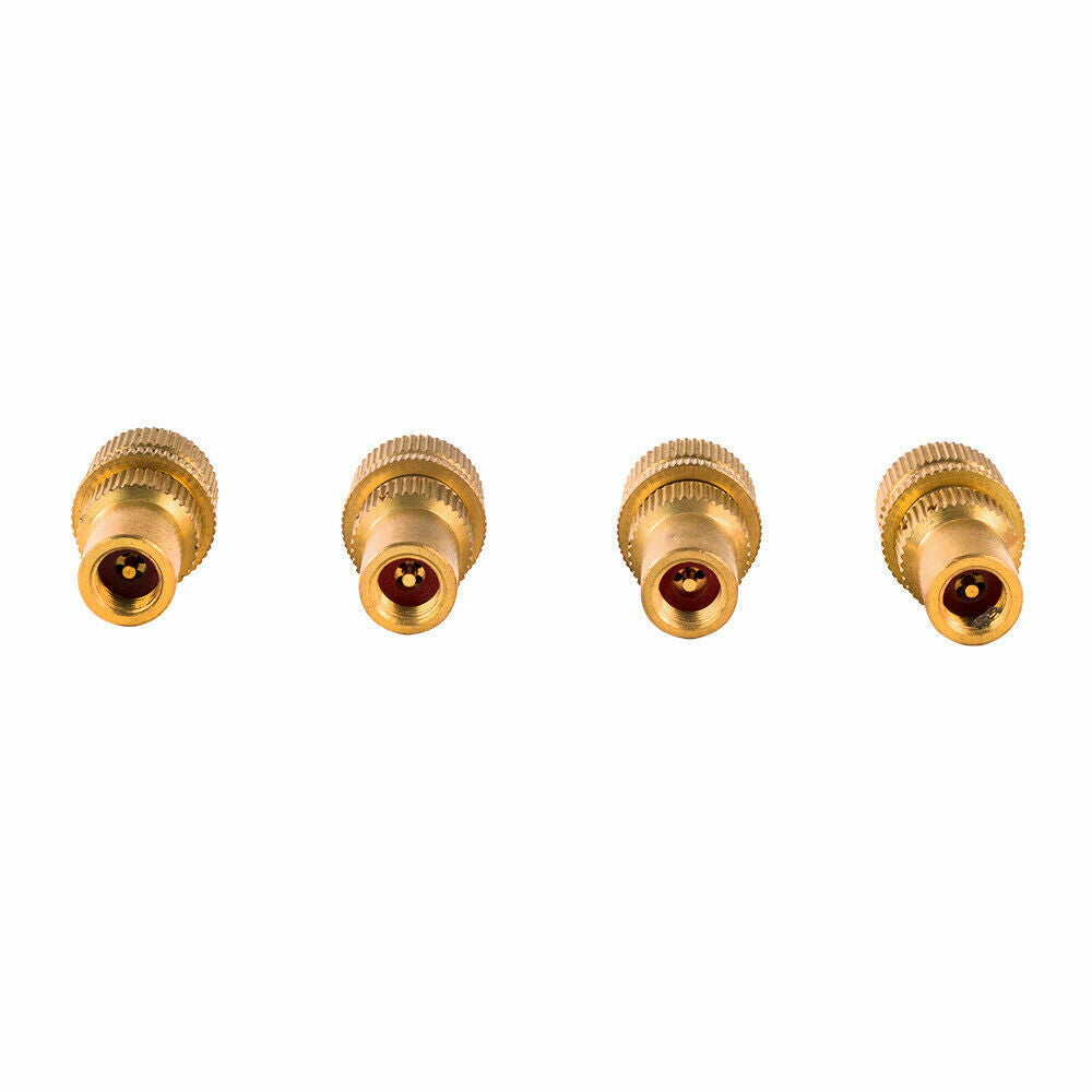X-BULL Tyre Deflators Brass Air Deflator 0-60 PSI Tire Valve Core Tool Automatic 9
