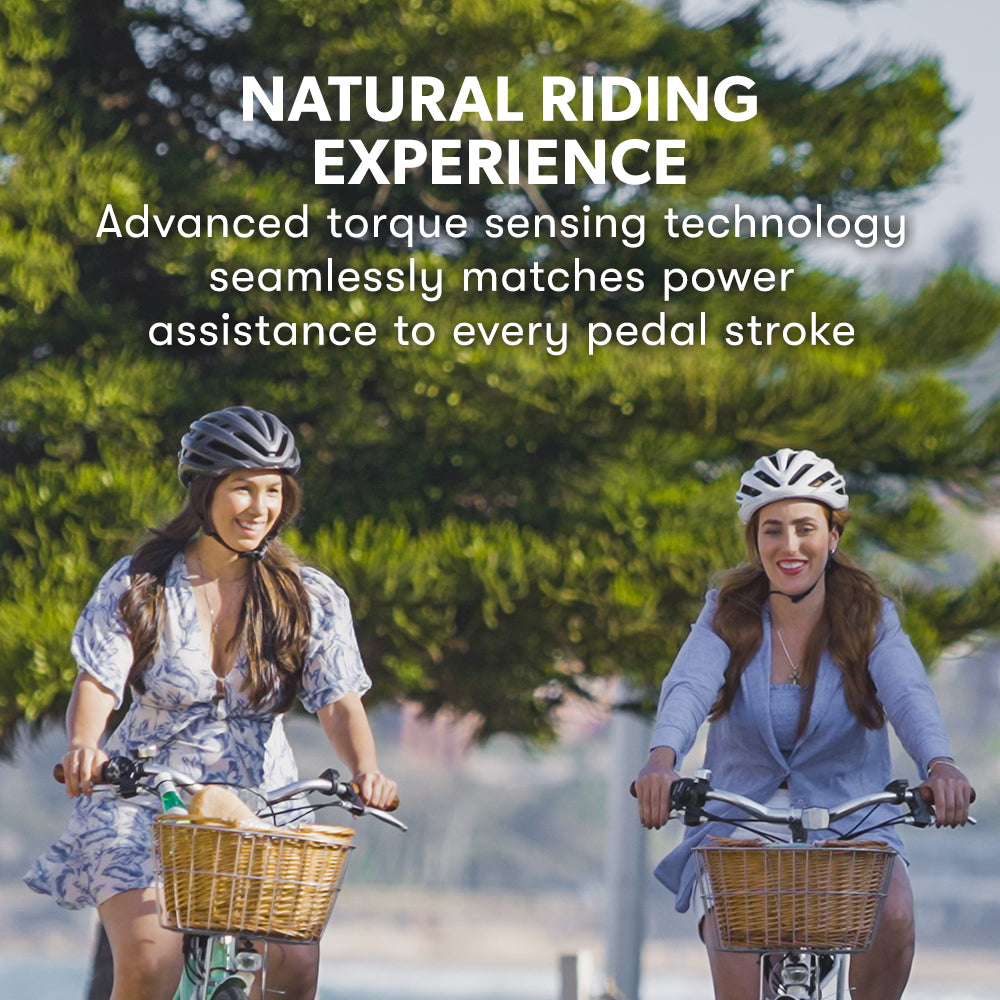 Valk Laneway 5 Vintage Electric Bike, Torque Sensor equipped eBike, Medium, Black 4