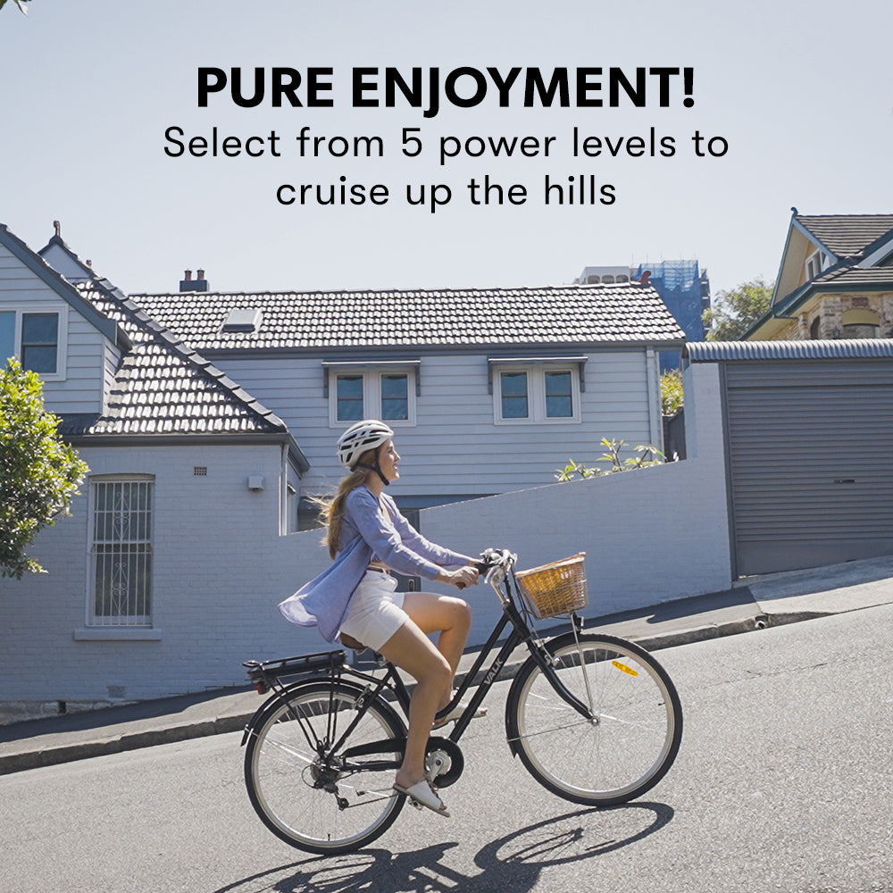 Valk Laneway 5 Vintage Electric Bike, Torque Sensor equipped eBike, Medium, Black 7