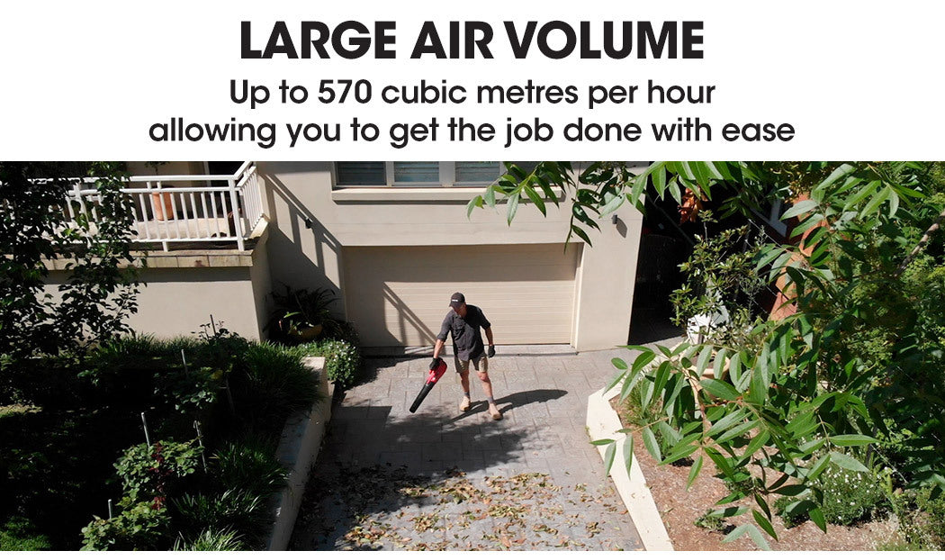 Baumr-AG 20V Lithium Cordless Leaf Blower Electric Hand-held Garden Tool 3