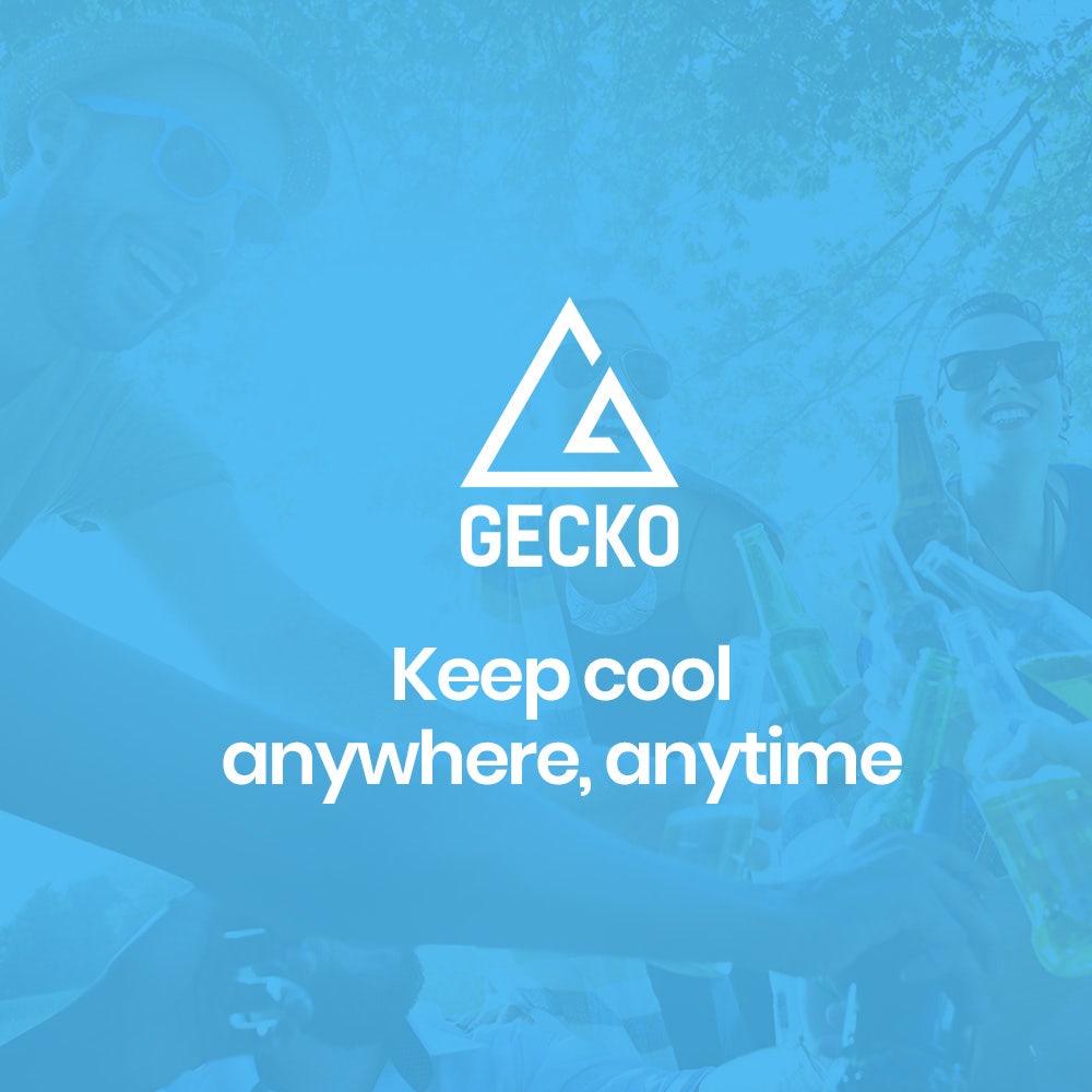 GECKO 70L Portable Bar Fridge and Freezer 12V/24V for Camping, Caravans, Silver 11