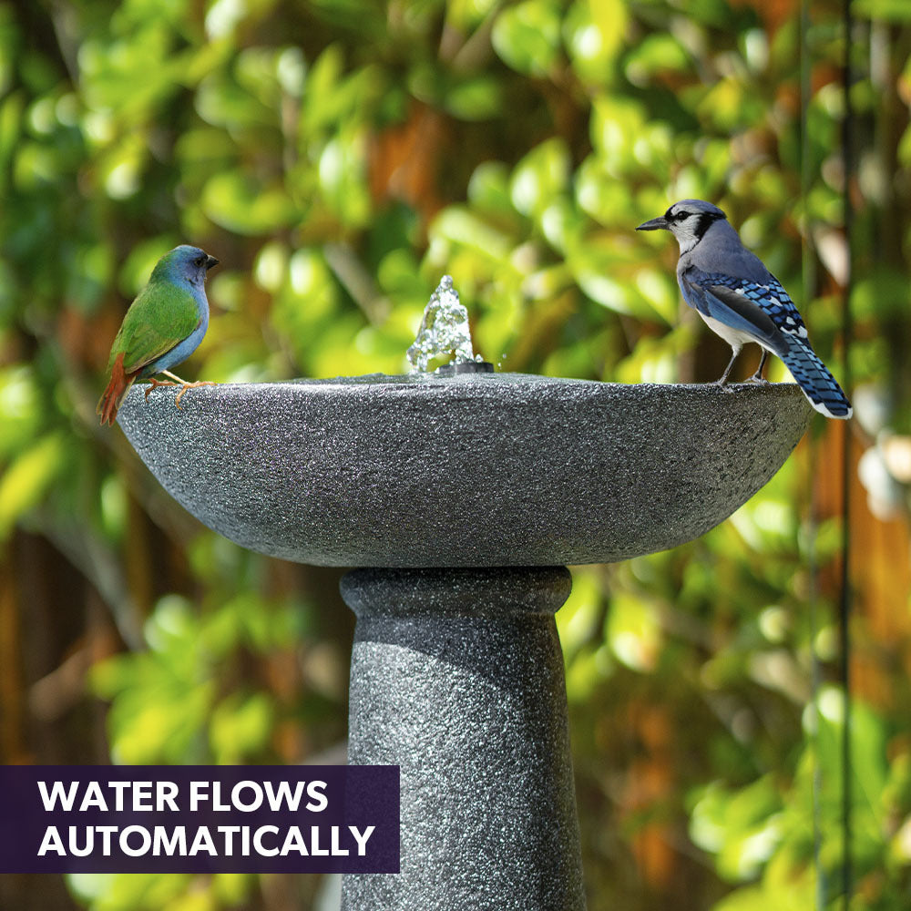 Protege Bird Bath Solar Water Feature Fountain, Contemporary Birdbath Design, with Panel Kit, LED Lights, Dark Grey 3