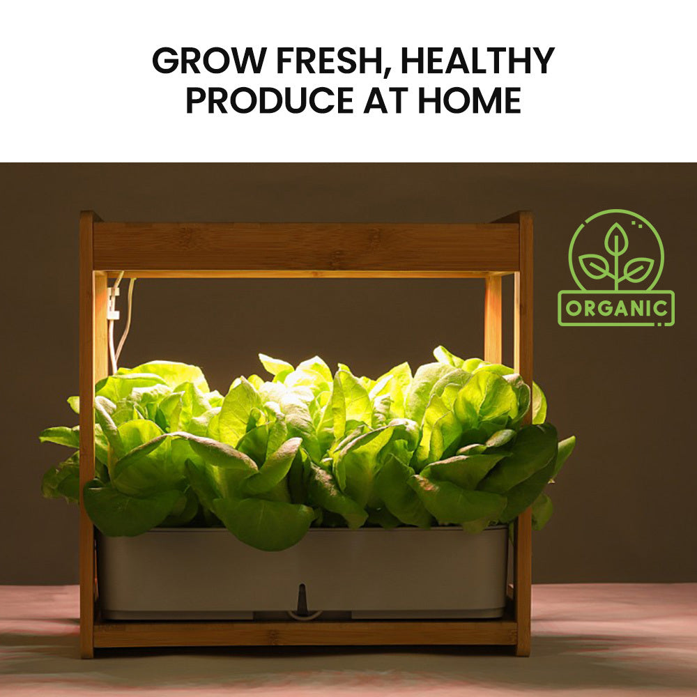 PLANTCRAFT 12 Pod Indoor Hydroponic Growing System with Bamboo Frame & LED Lights 10