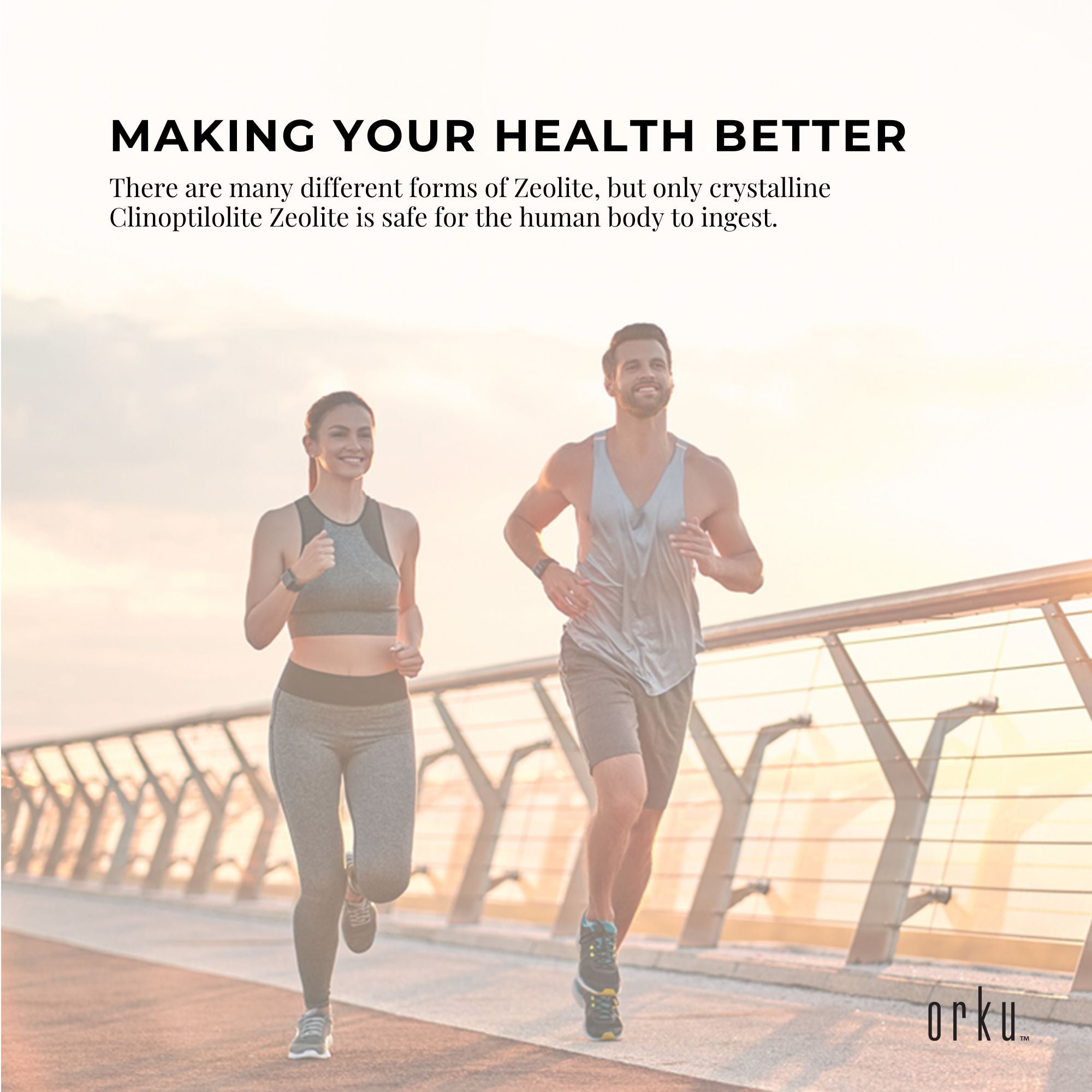 10Kg Pure Micronised Zeolite Powder Mineral - Micronized Volcamin 6