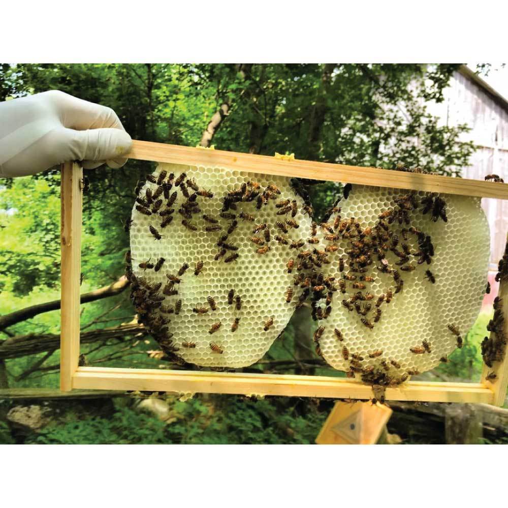 1Kg Orku Australian Beeswax Chunks - Pure Natural Unrefined Raw 5