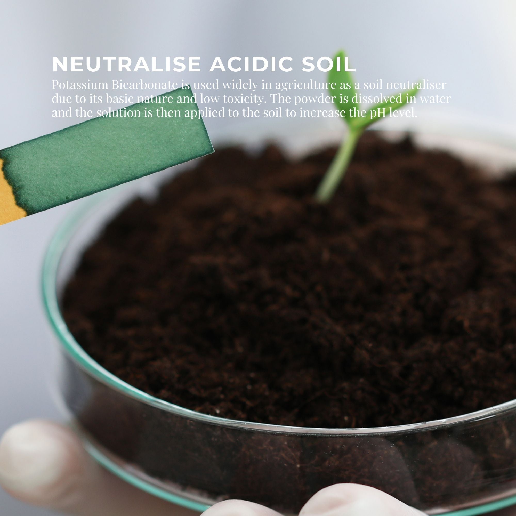 400g Organic Potassium Bicarbonate Powder - Food Grade Pure FCC Brewing Baking 8