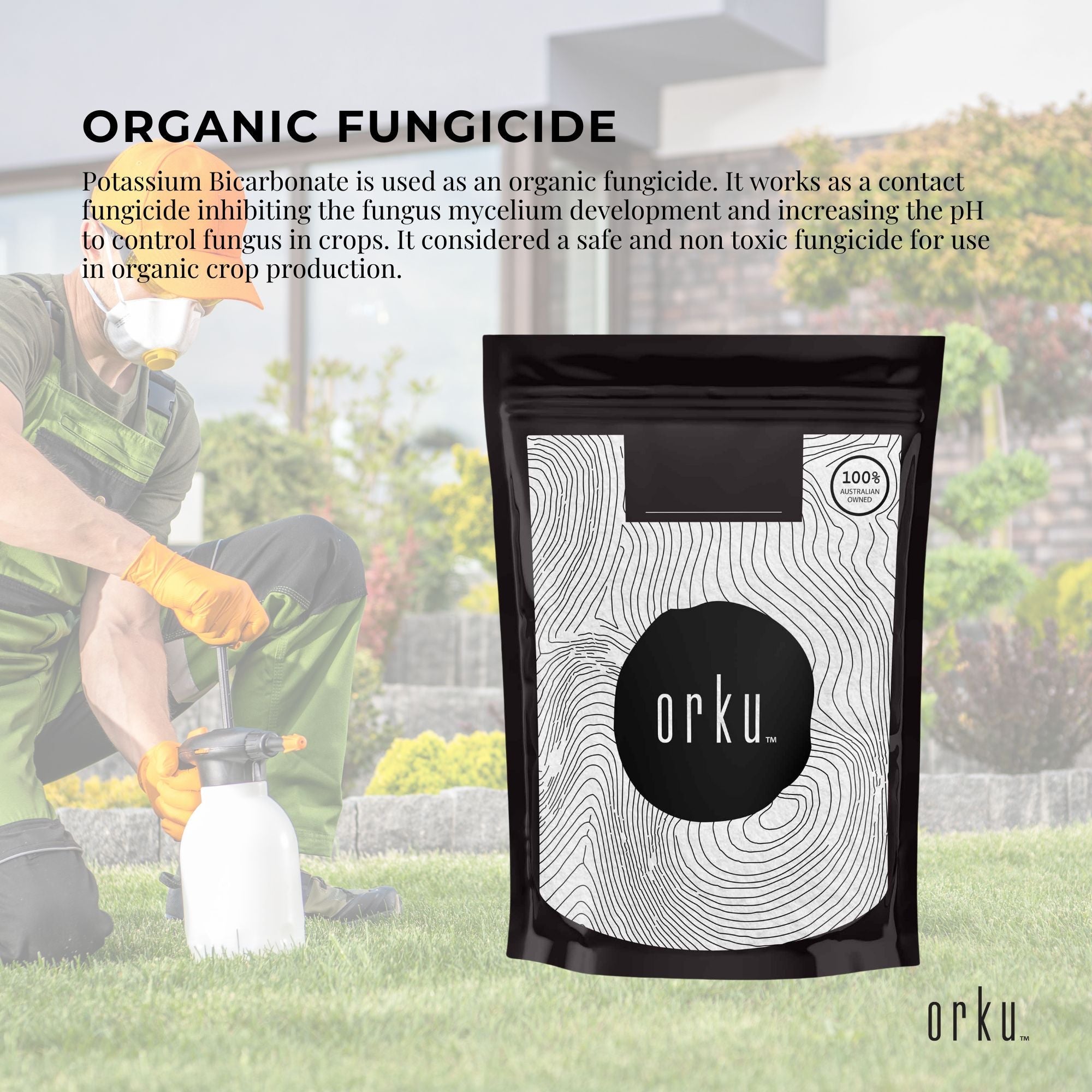 1Kg Organic Potassium Bicarbonate Powder - Food Grade Pure FCC Brewing Baking 4
