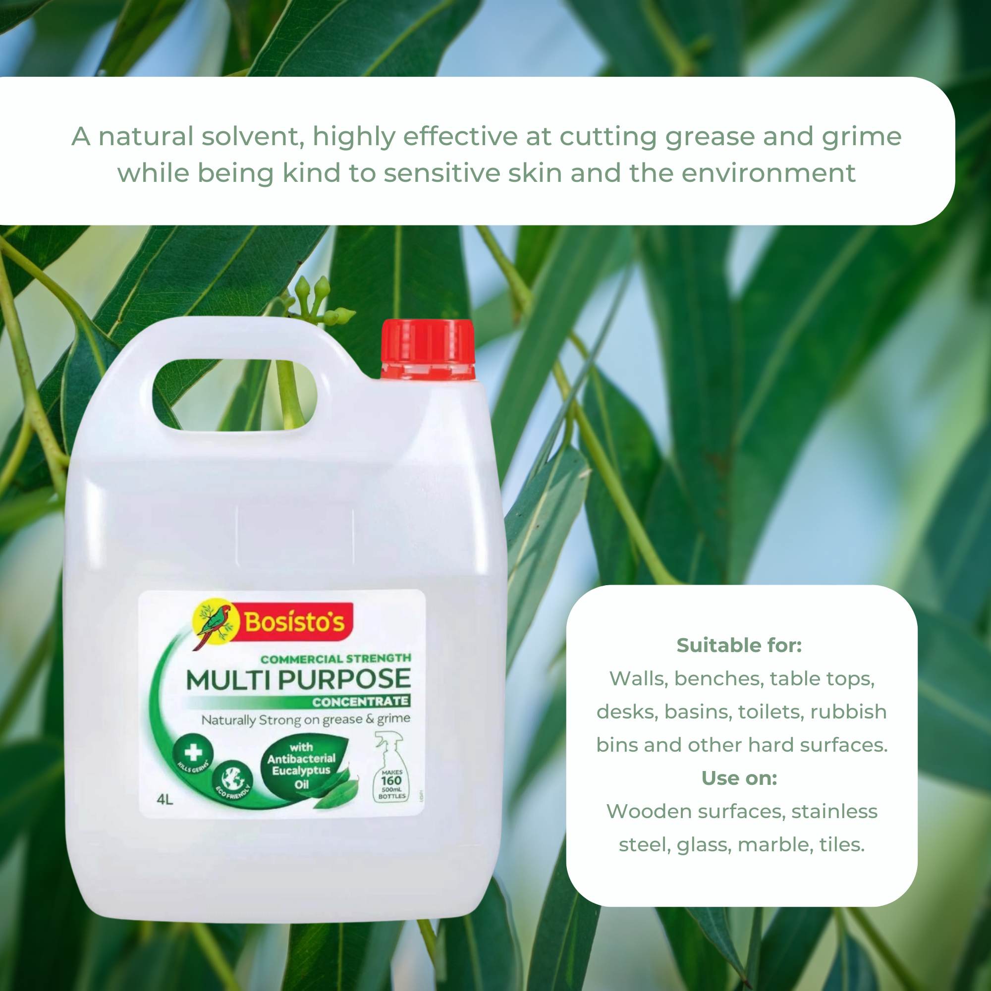 4L Multipurpose Cleaner Bosisto's Commercial Strength Concentrate Eucalyptus Oil 5