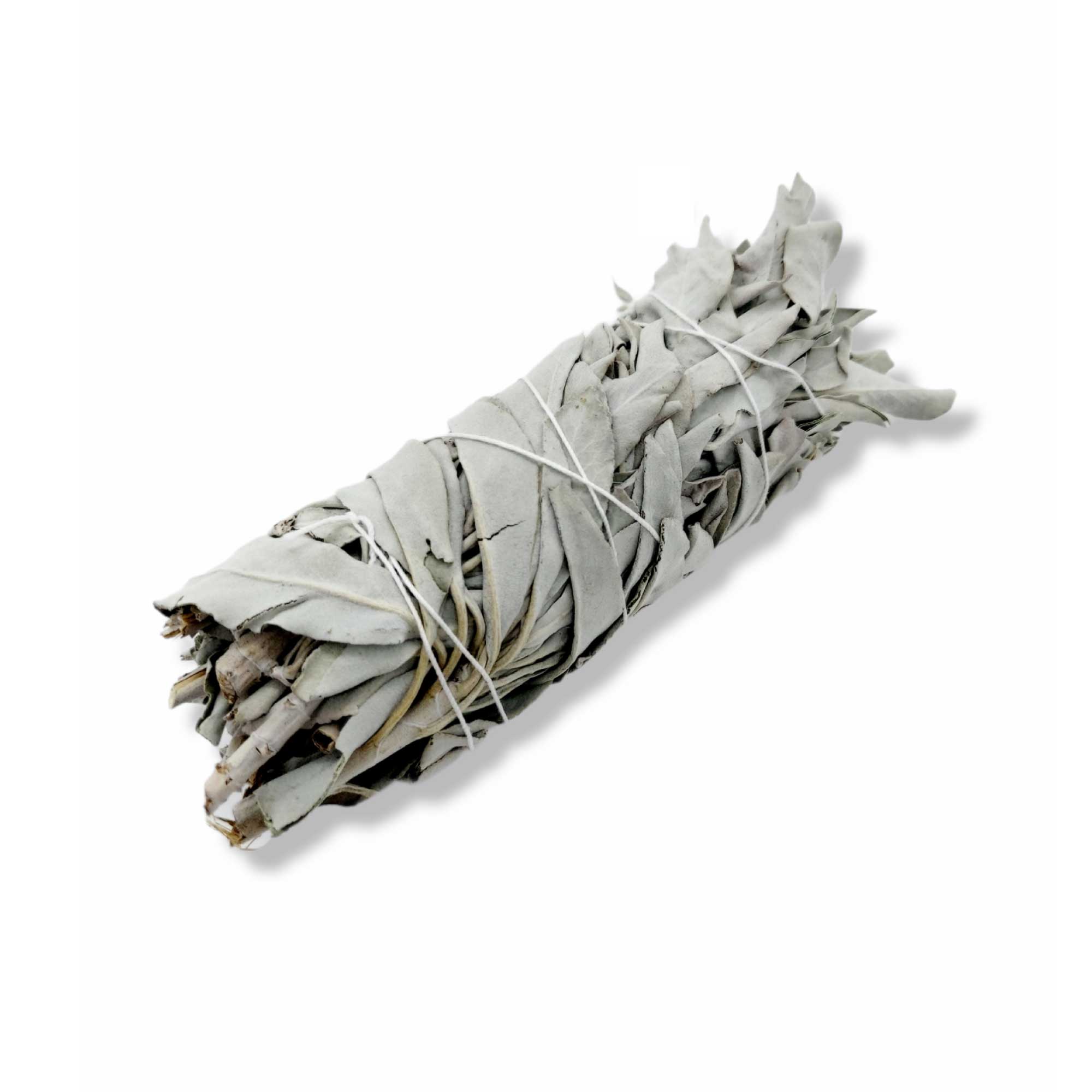 6x Californian White Sage Smudge Sticks Medium 13-15cm Incense Cleansing Bundle 3