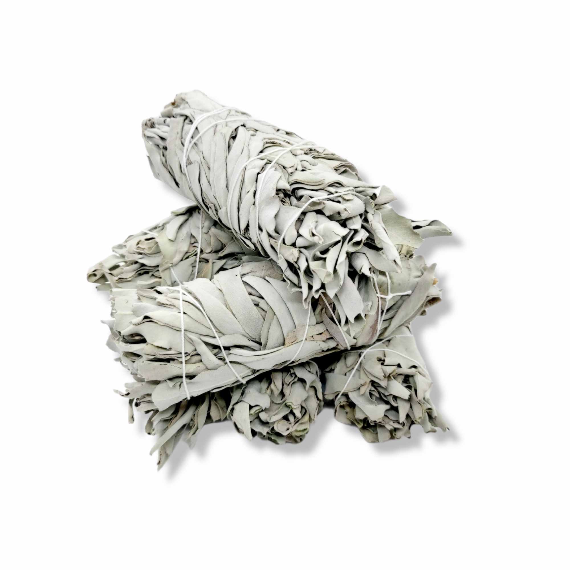 6x Californian White Sage Smudge Sticks Medium 13-15cm Incense Cleansing Bundle 4