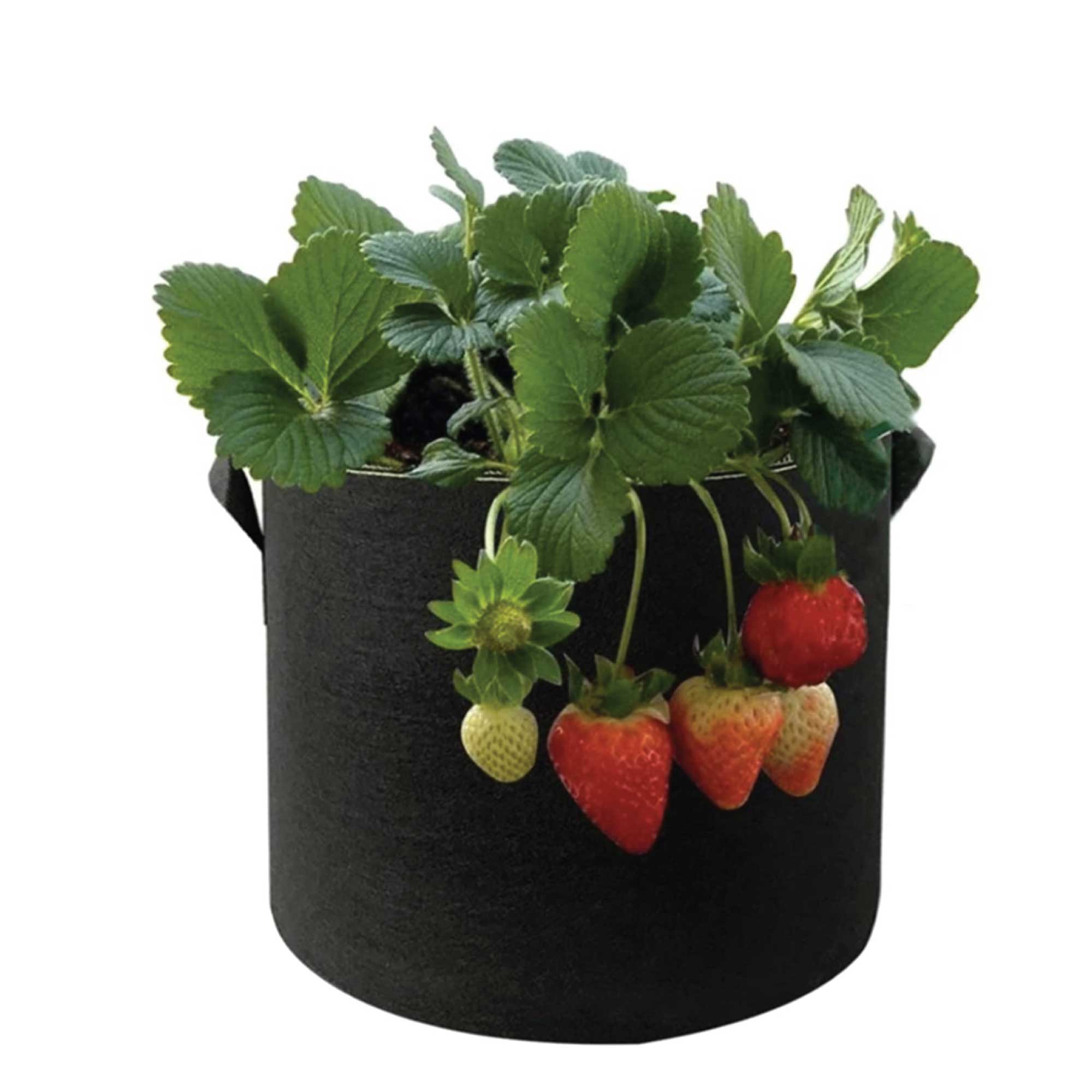 6 Pck 10 Gallon Fabric Flower Pots 38L Garden Planter Bags Black Felt Root Pouch 4
