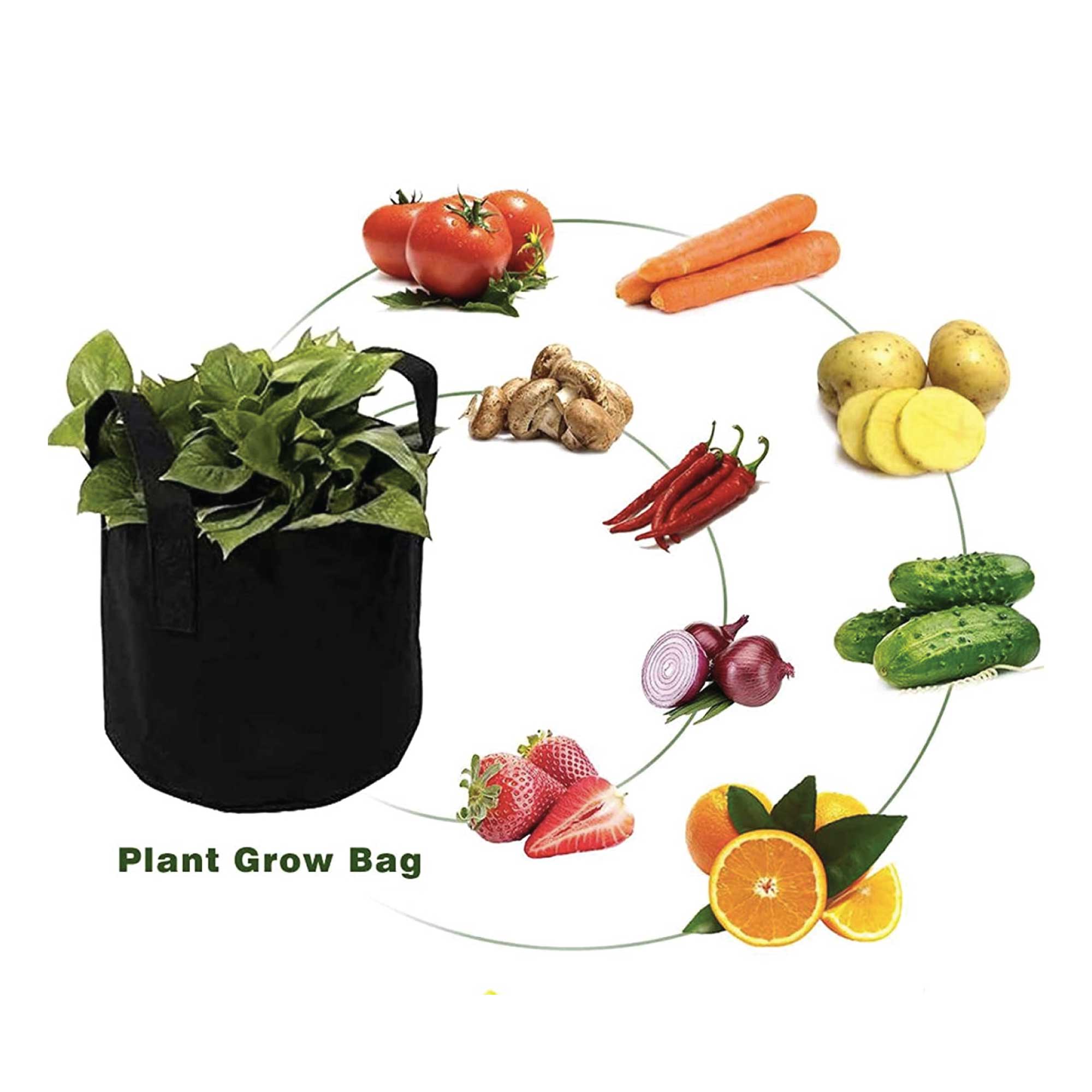 6 Pck 10 Gallon Fabric Flower Pots 38L Garden Planter Bags Black Felt Root Pouch 5