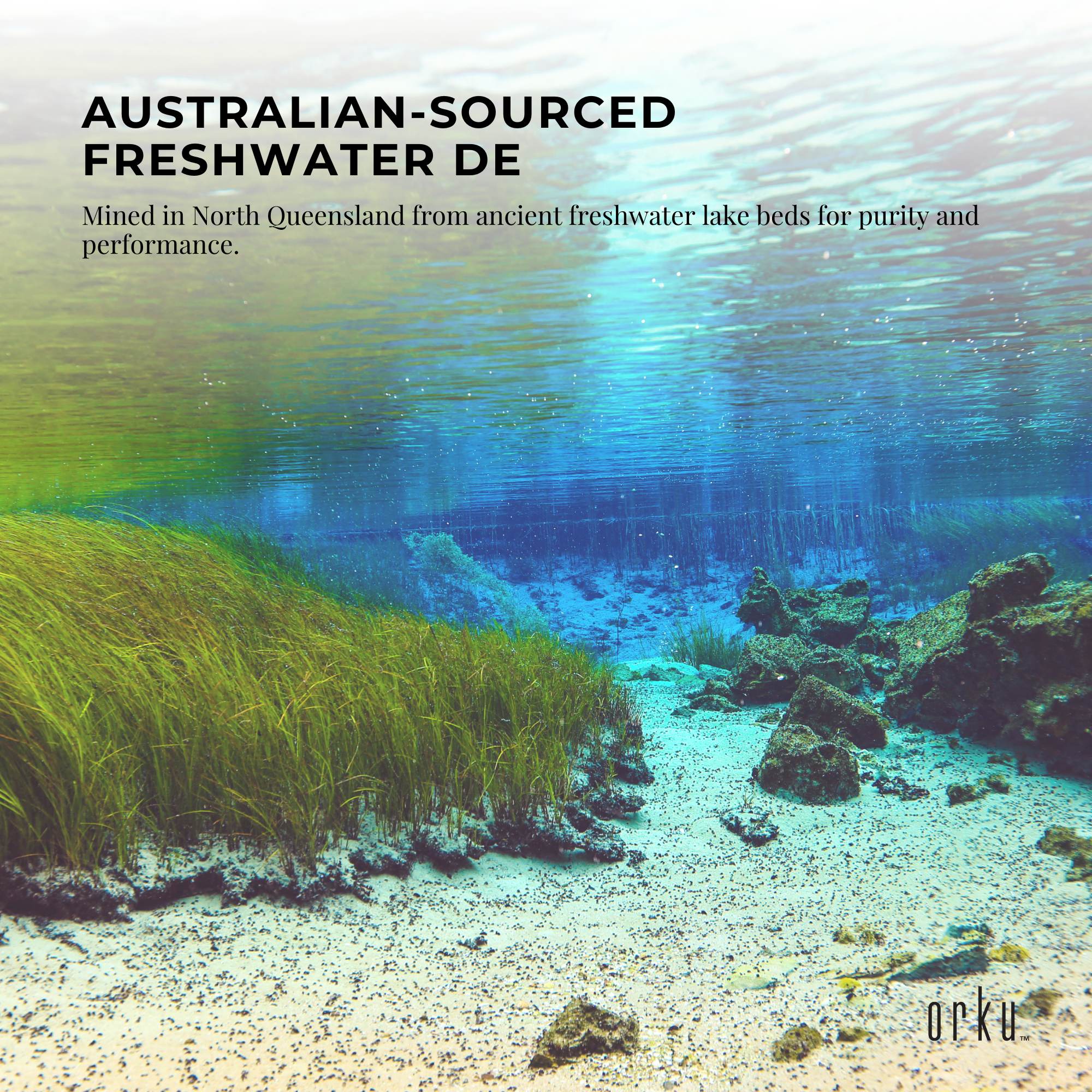 Orku 3Kg Fossil Shell Flour Tub - Livestock Garden Diatomaceous Earth 5