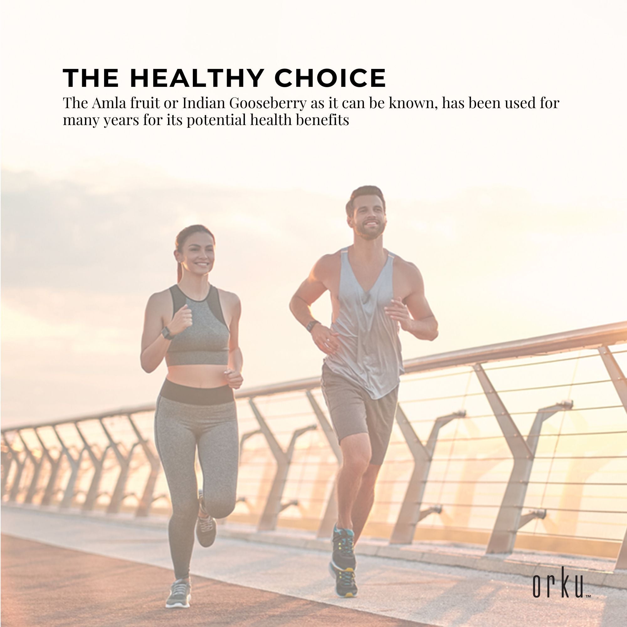 2Kg Organic Amla Powder Indian Gooseberry Emblica Officinalis Fruit Supplement 6