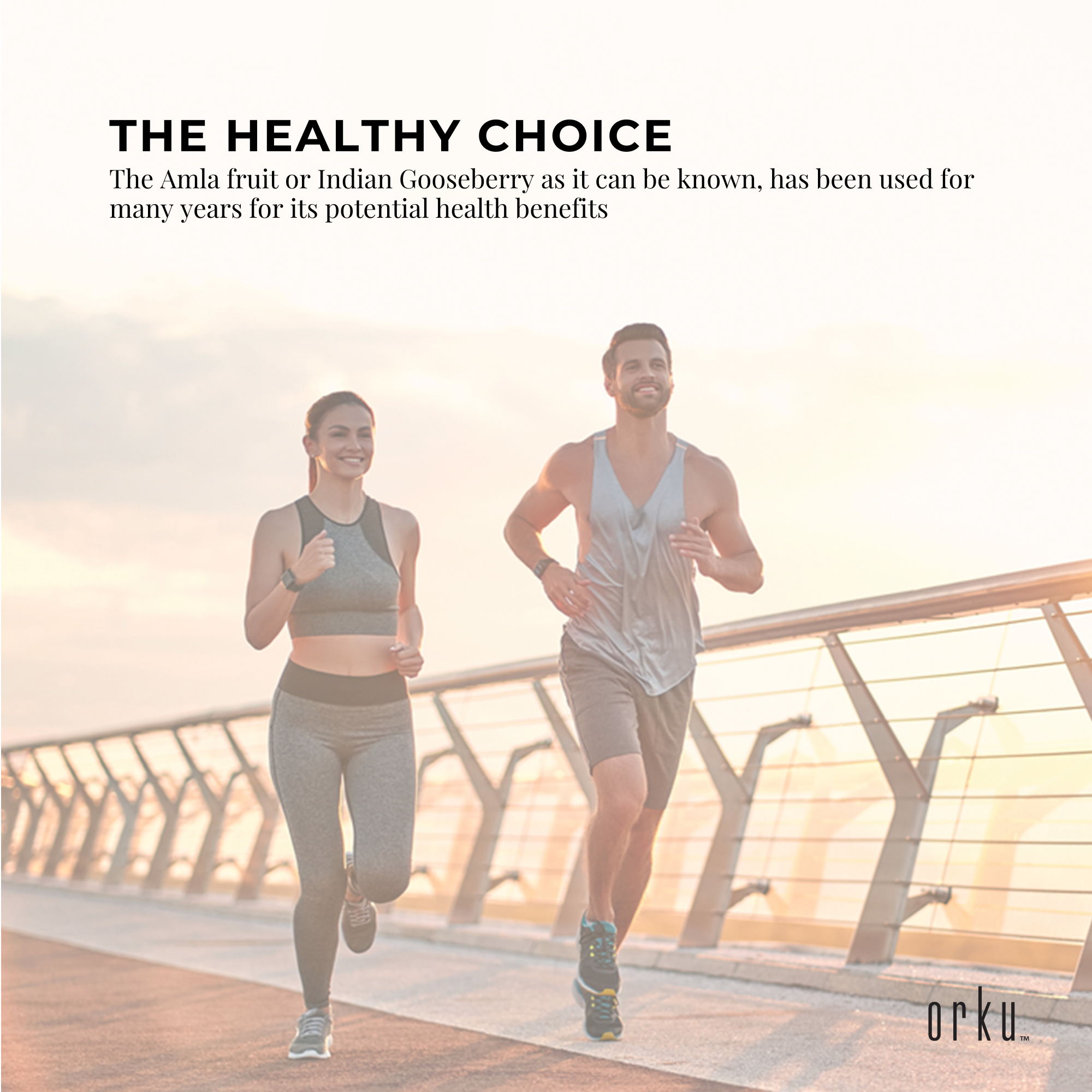 5Kg Organic Amla Powder Indian Gooseberry Emblica Officinalis Fruit Supplement 6