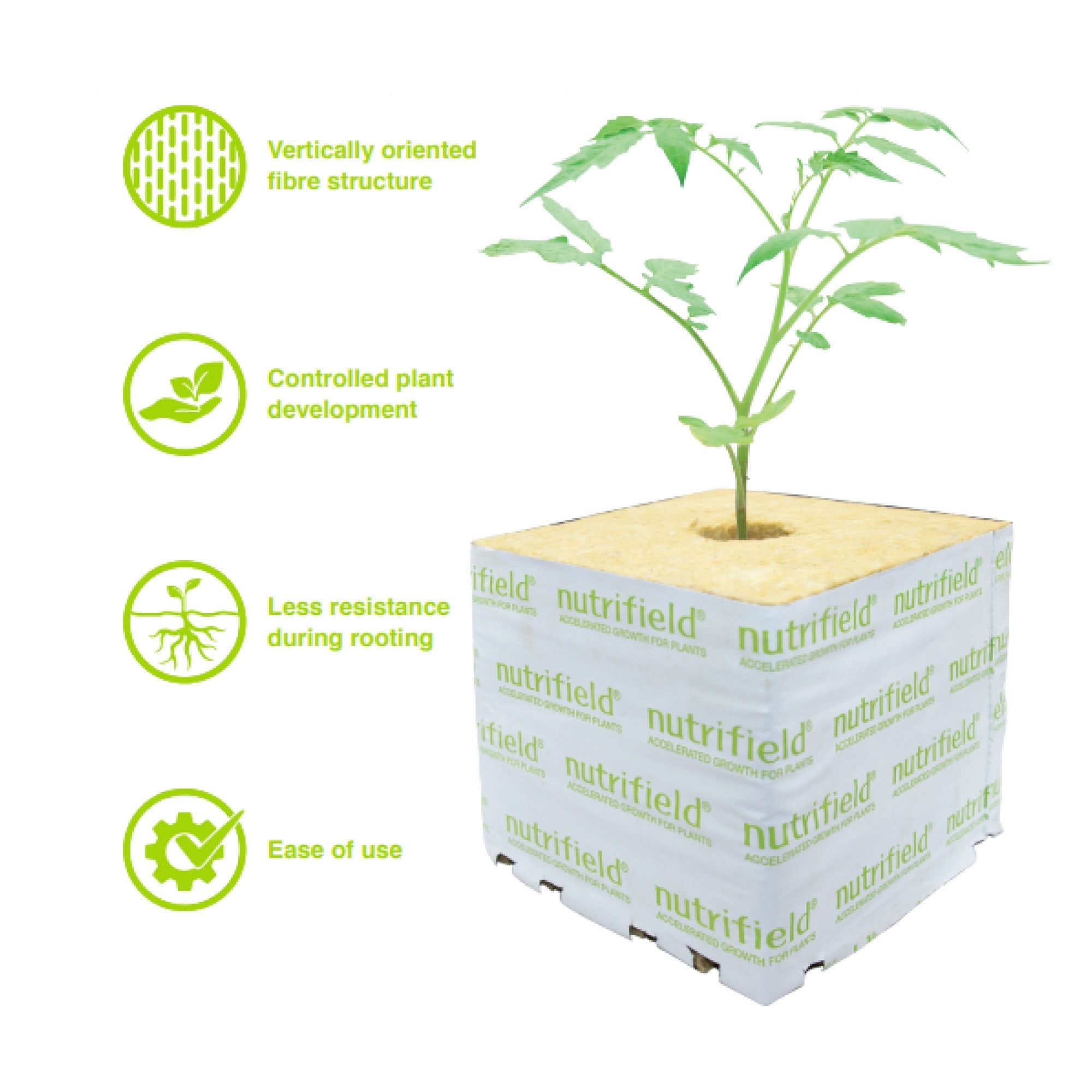 75x75x65mm Stonewool 8pk - Planting Propagation Growing Assist Block Nutrifield 3