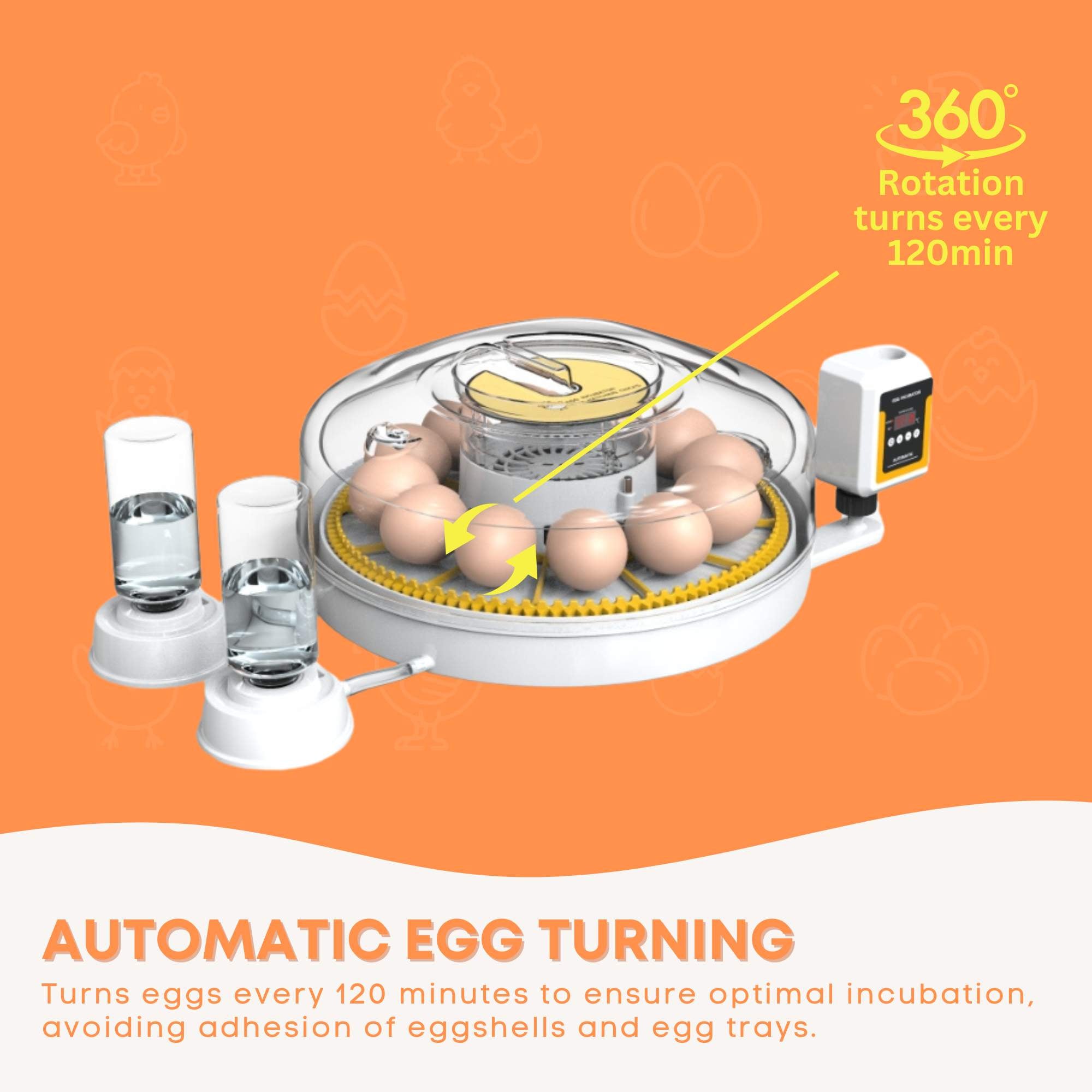Automatic 12 Egg Incubator - Electric Digital Turning Chicken Quail Duck Hatching 4