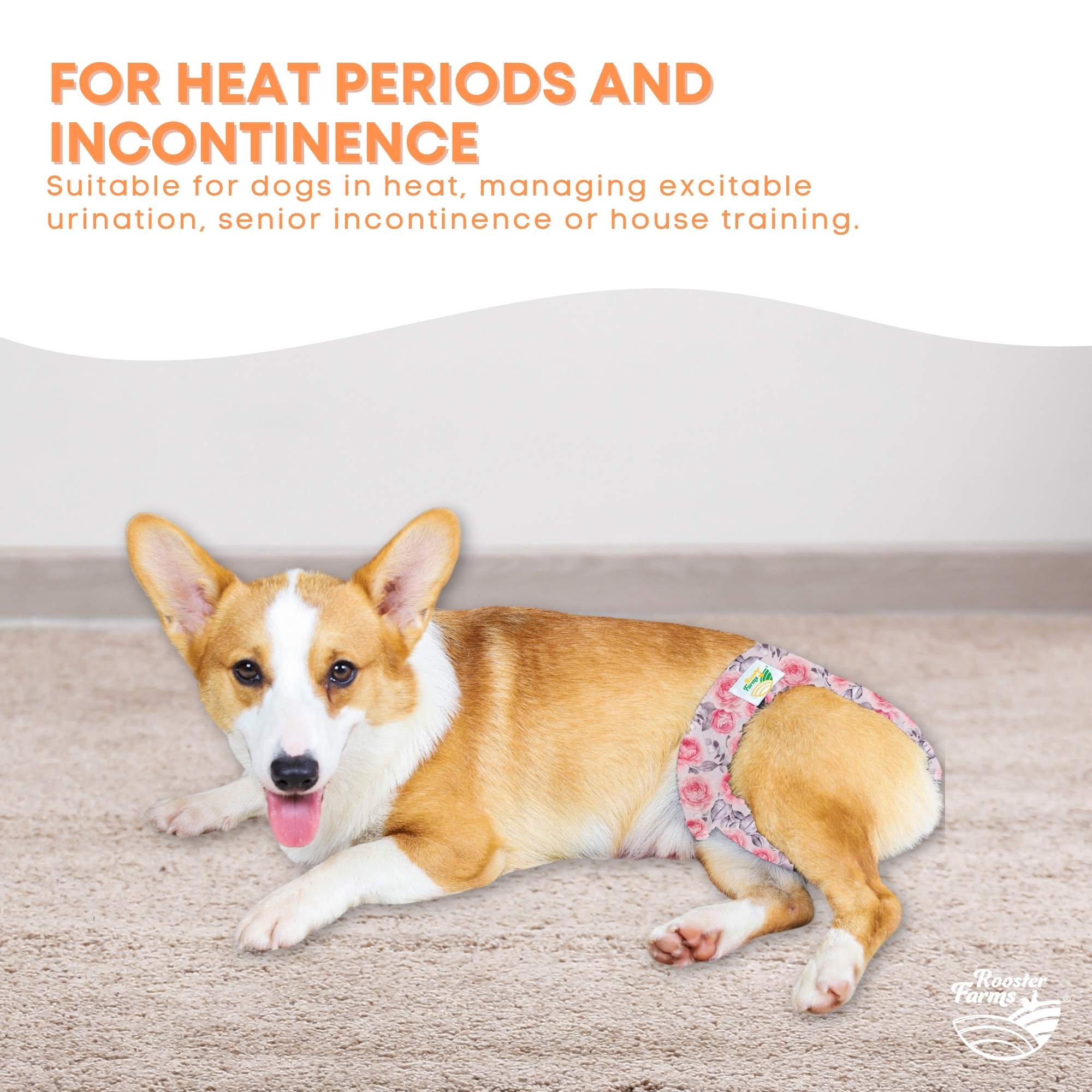 Rooster Farms Female Dog Diapers Small 3Pk - Washable Reusable Nappies Hook/Loop 5