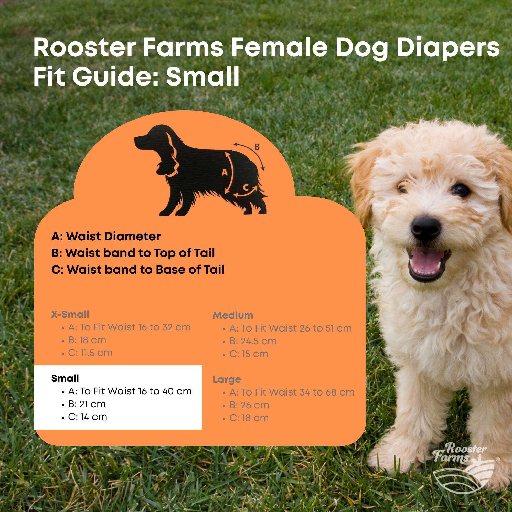 Rooster Farms Female Dog Diapers Small 3Pk - Washable Reusable Nappies Hook/Loop 9