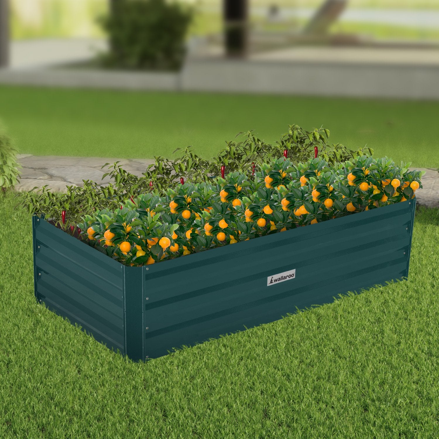 Wallaroo Garden Bed 120 x 60 x 30cm Galvanized Steel - Green 8