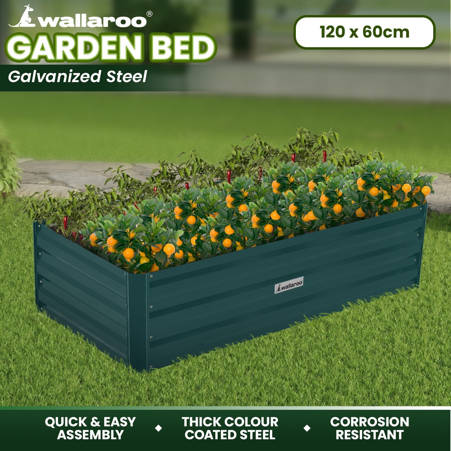 Wallaroo Garden Bed 120 x 60 x 30cm Galvanized Steel - Green 9