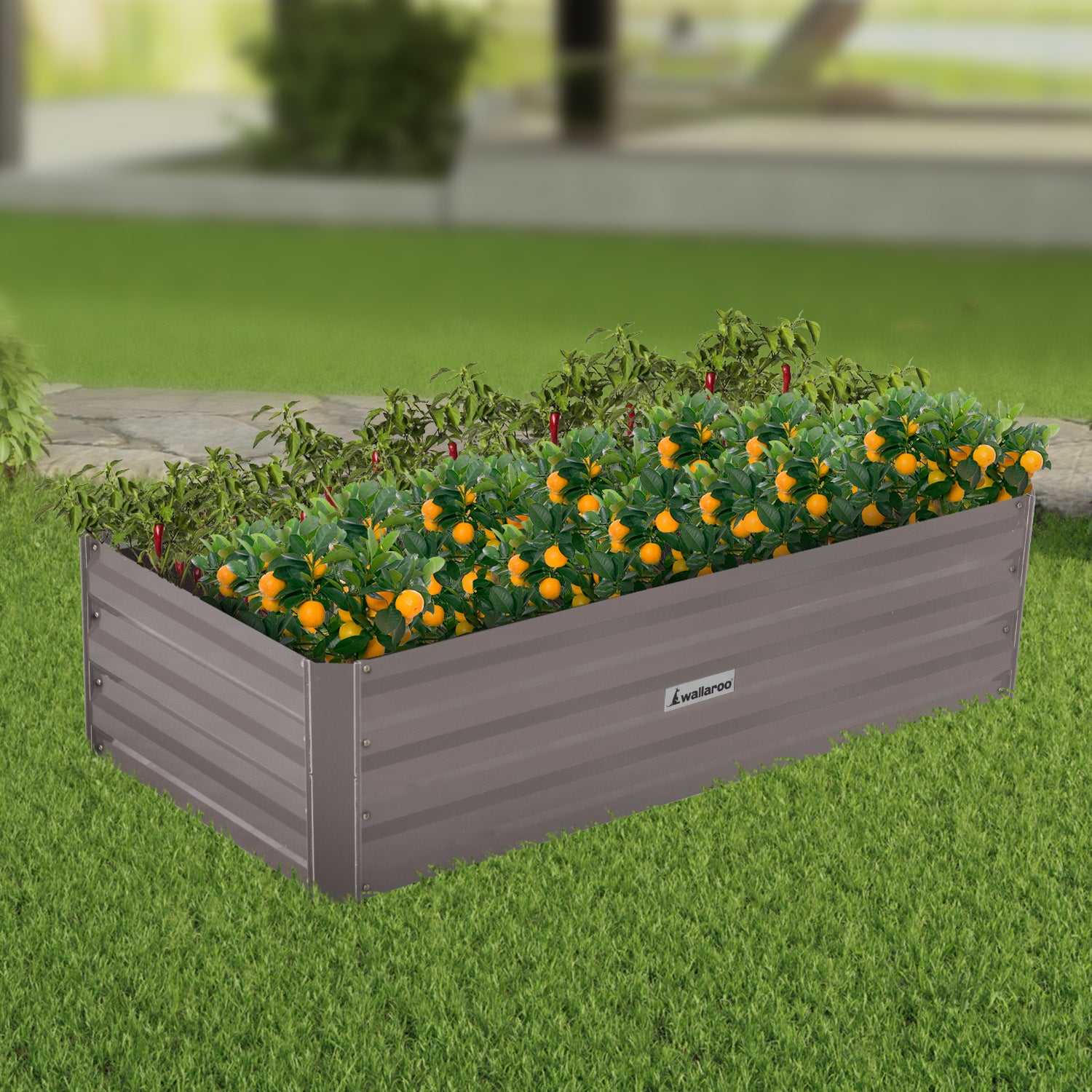 Wallaroo Garden Bed 120 x 60 x 30cm Galvanized Steel - Grey 8