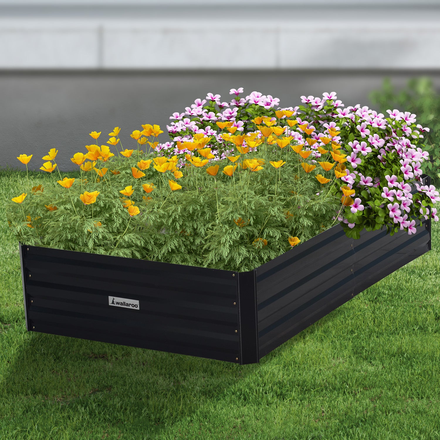 Wallaroo 150 x 90 x 30cm Galvanized Steel Garden Bed - Black 8