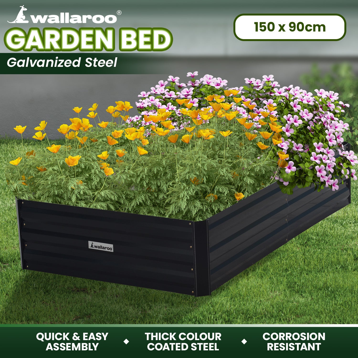 Wallaroo 150 x 90 x 30cm Galvanized Steel Garden Bed - Black 9
