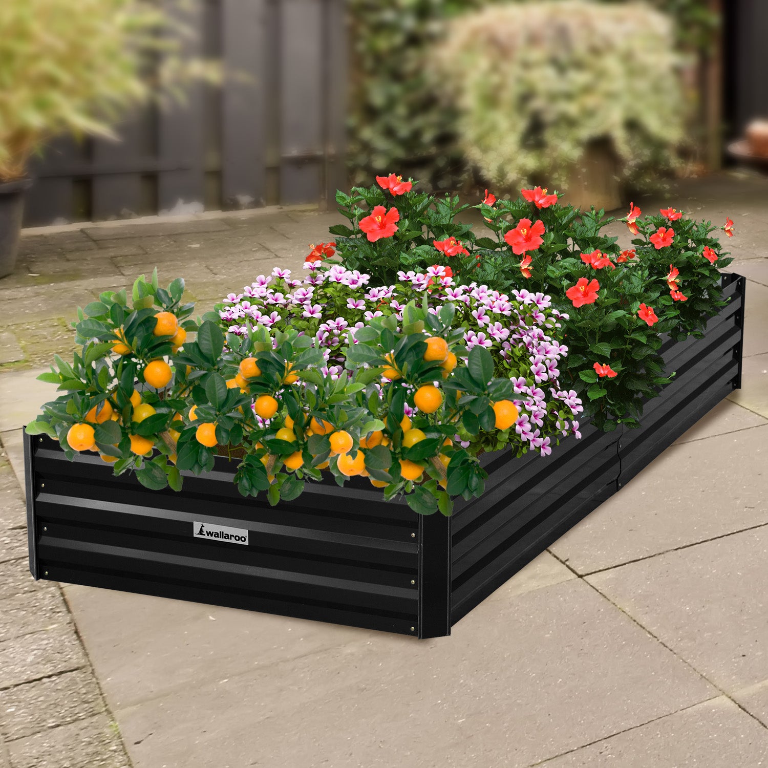 Wallaroo Garden Bed 210 x 90 x 30cm Galvanized Steel - Black 8