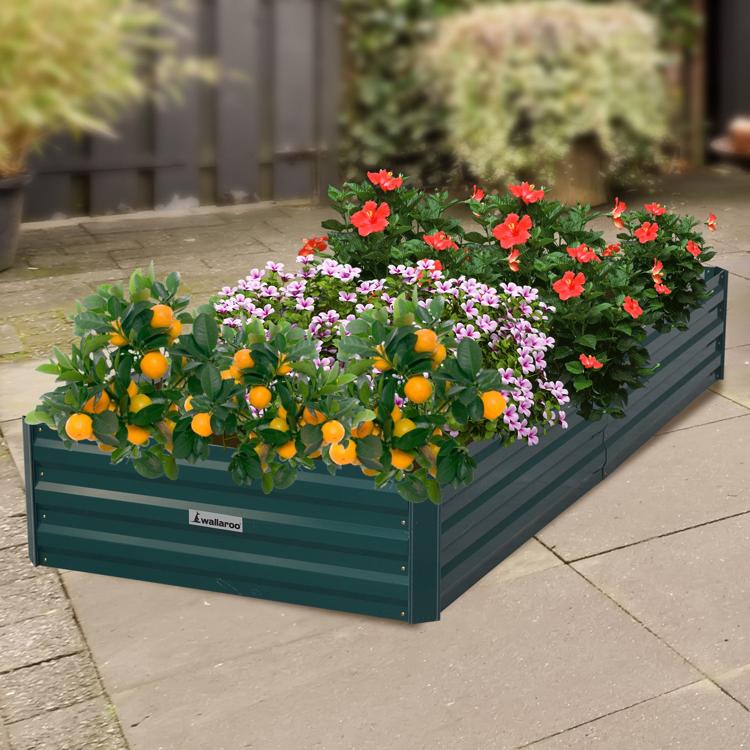 Wallaroo Garden Bed 210 x 90 x 30cm Galvanized Steel - Green 8