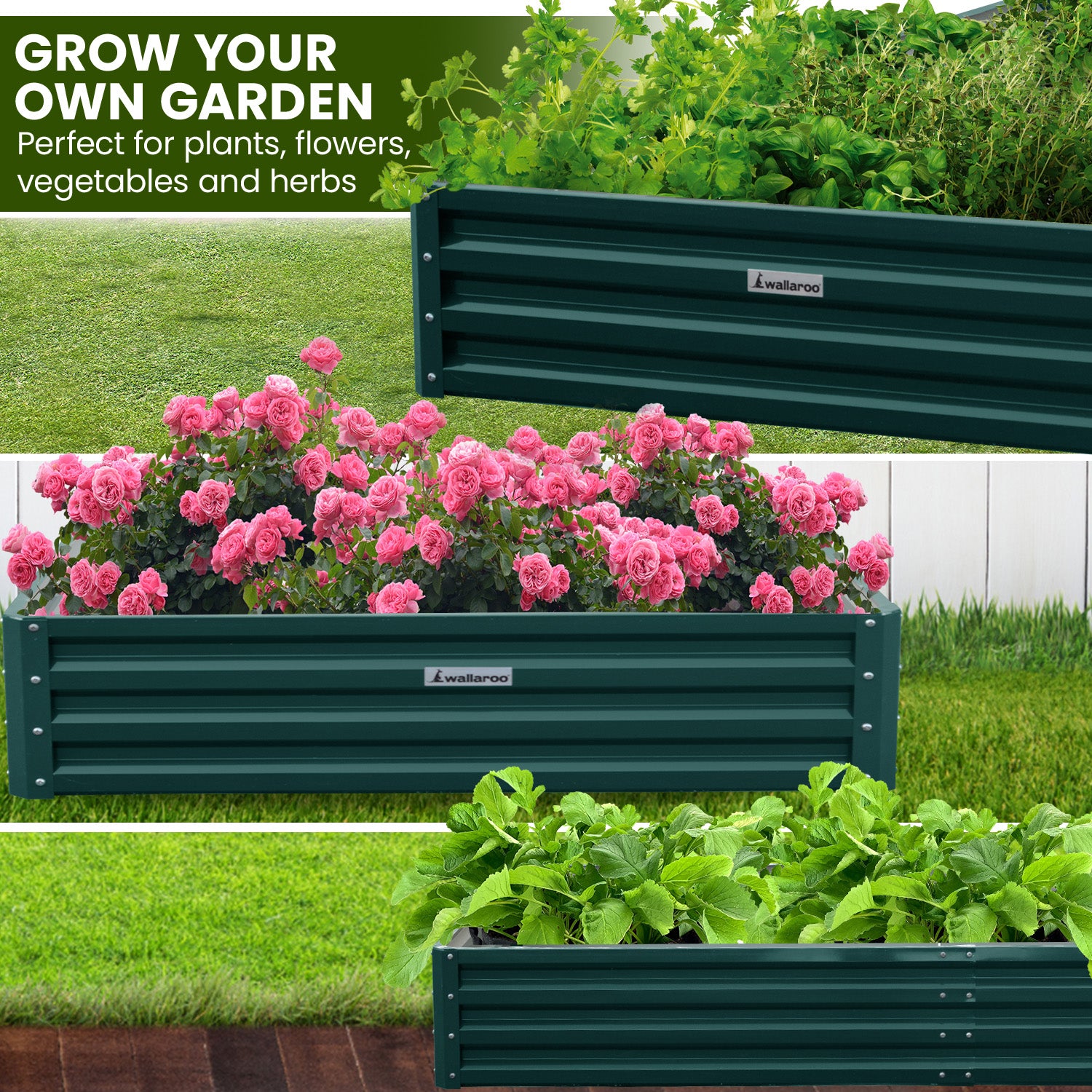 Wallaroo Garden Bed 240 x 120 x 30cm Galvanized Steel - Green 5