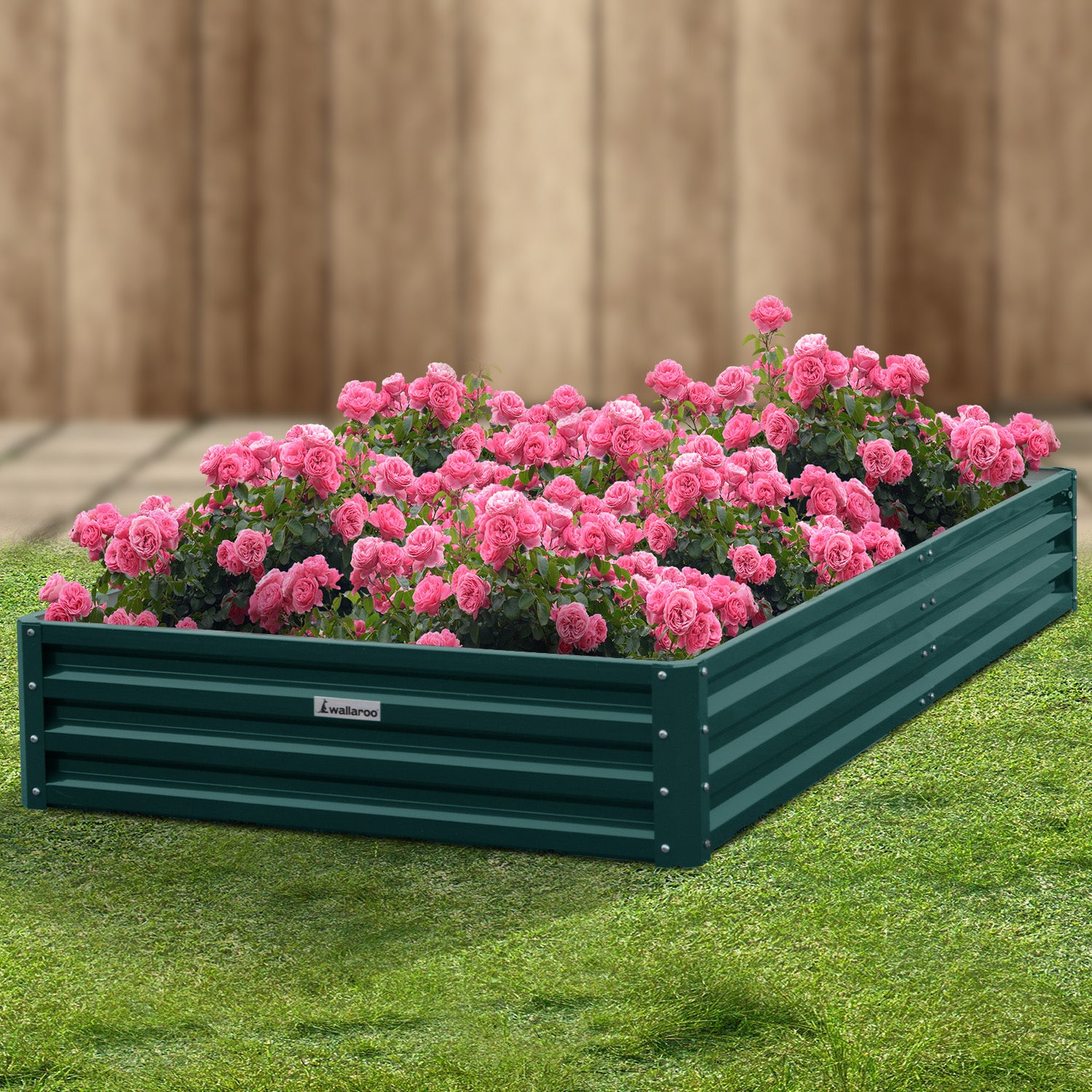 Wallaroo Garden Bed 240 x 120 x 30cm Galvanized Steel - Green 9
