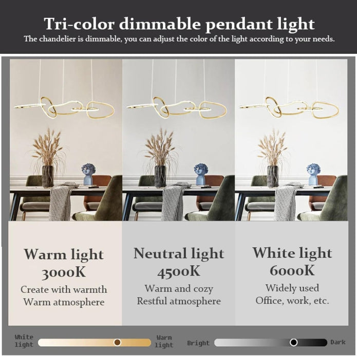 BAMDECOR A24126 Nordic Minimalist LED Pendant Light Adjustable Modern Ring Chandelier for Dining Room and Bar (Black) 1.2 Meters 4