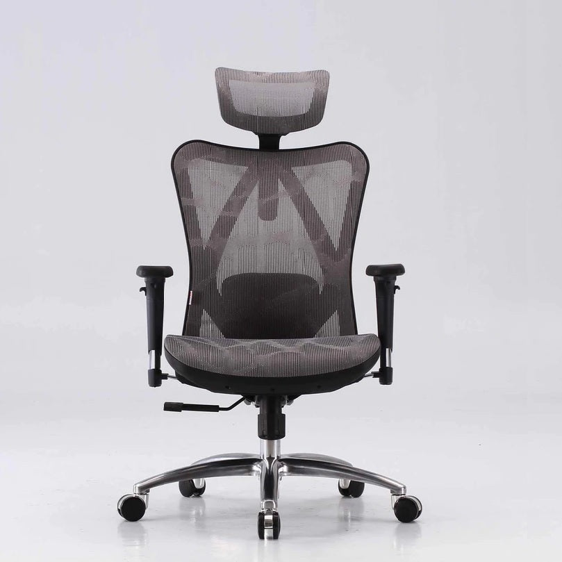 Sihoo M57 Ergonomic Office Chair, Computer Chair Desk Chair High Back Chair Breathable,3D Armrest and Lumbar Support Grey without Footrest 12