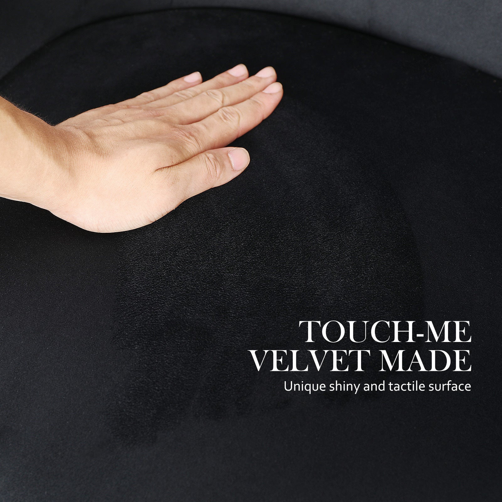 2X French Provincial Dining Chair Ring Studded Velvet Rubberwood Leg LISSE BLACK 7