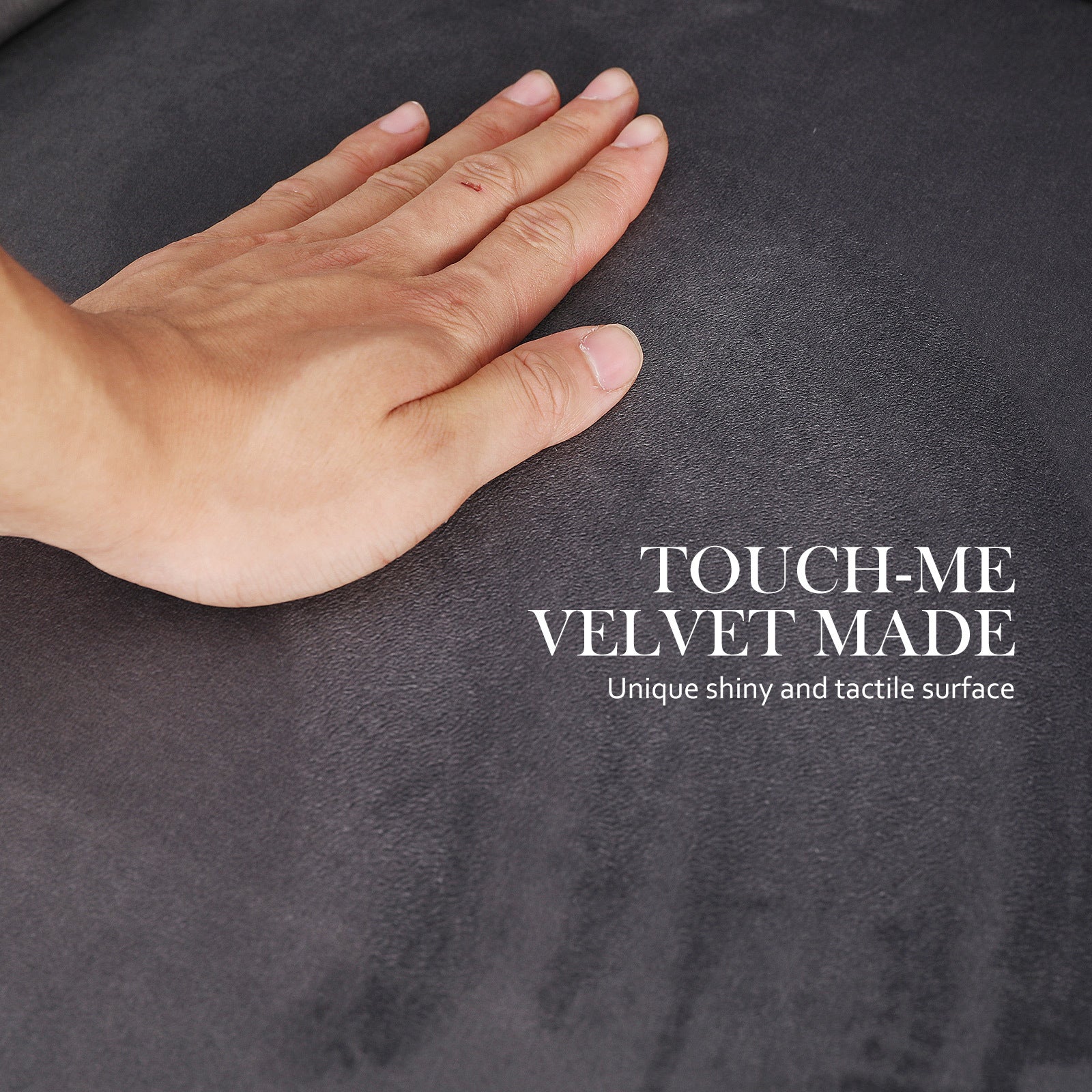 4X French Provincial Dining Chair Ring Studded Velvet Rubberwood Leg LISSE GREY 7