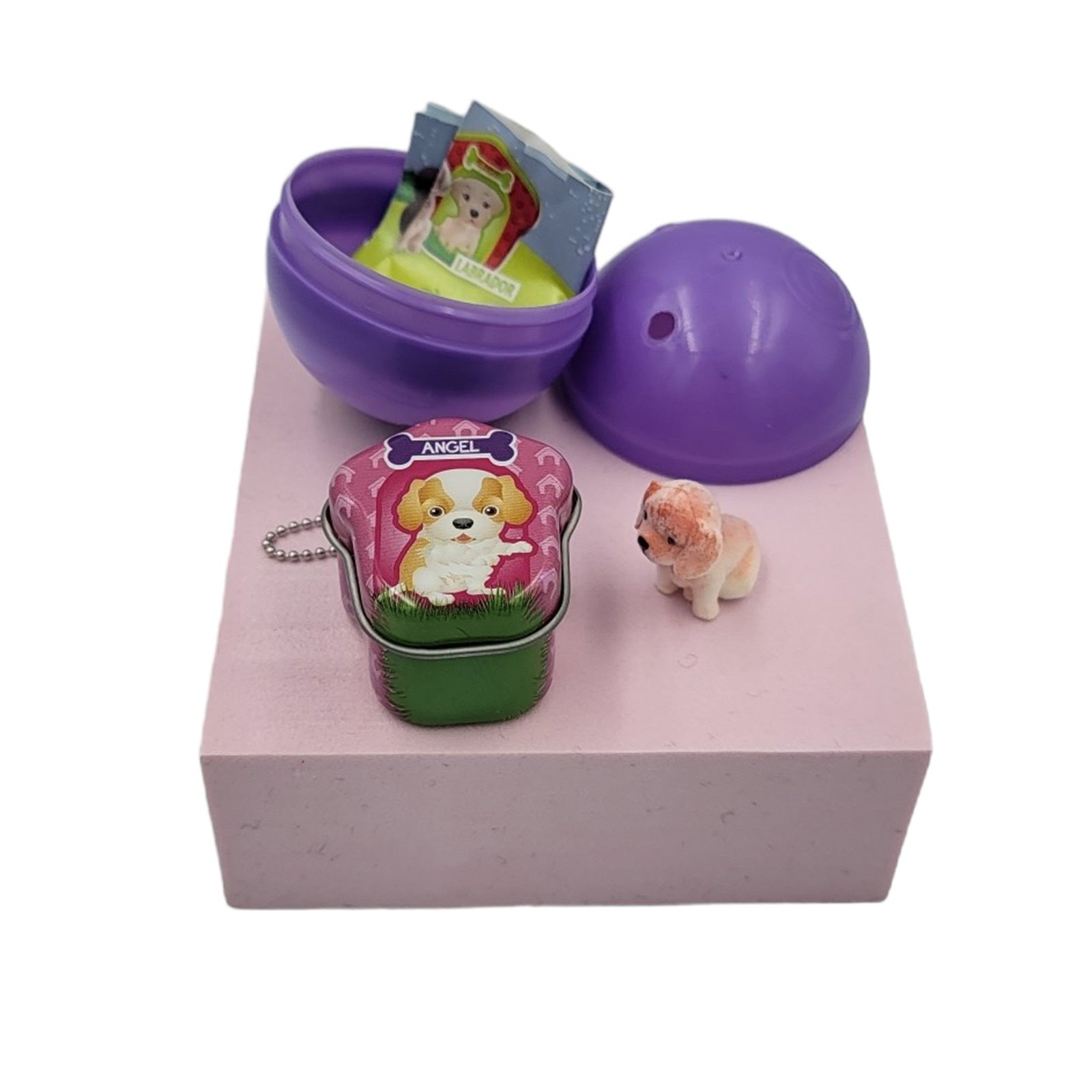 40X Puppy Club The Best Home Toy Capsules 50mm Collectible Gacha in Display Box 4